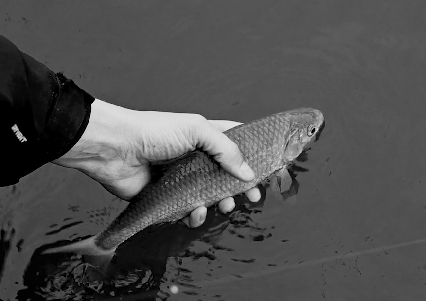 Screenshot 2025-05-06 at 13.05.35.png