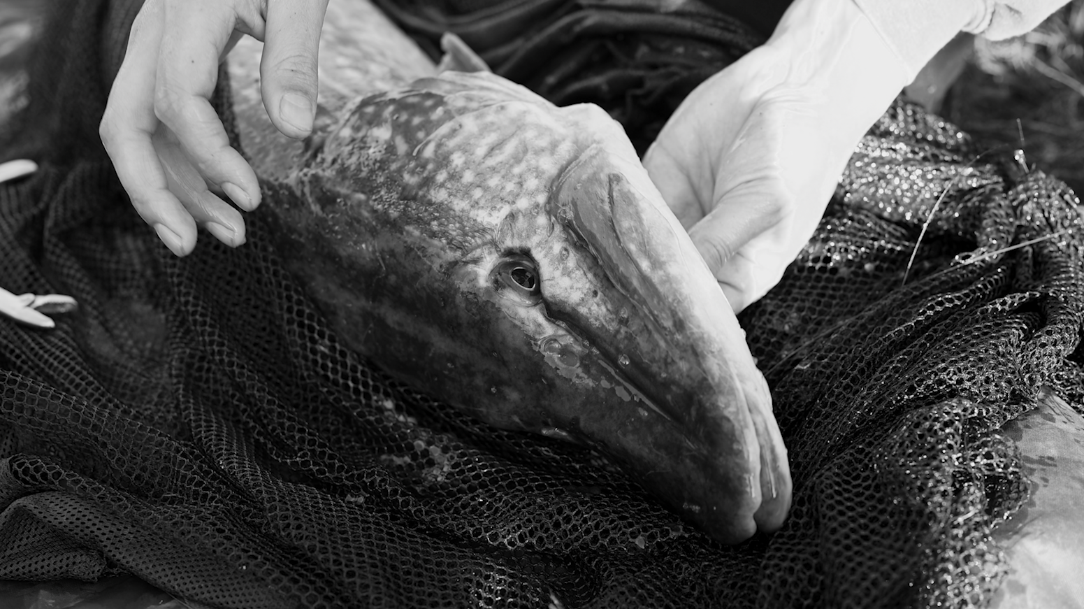 Screenshot 2025-04-16 at 13.24.22.png