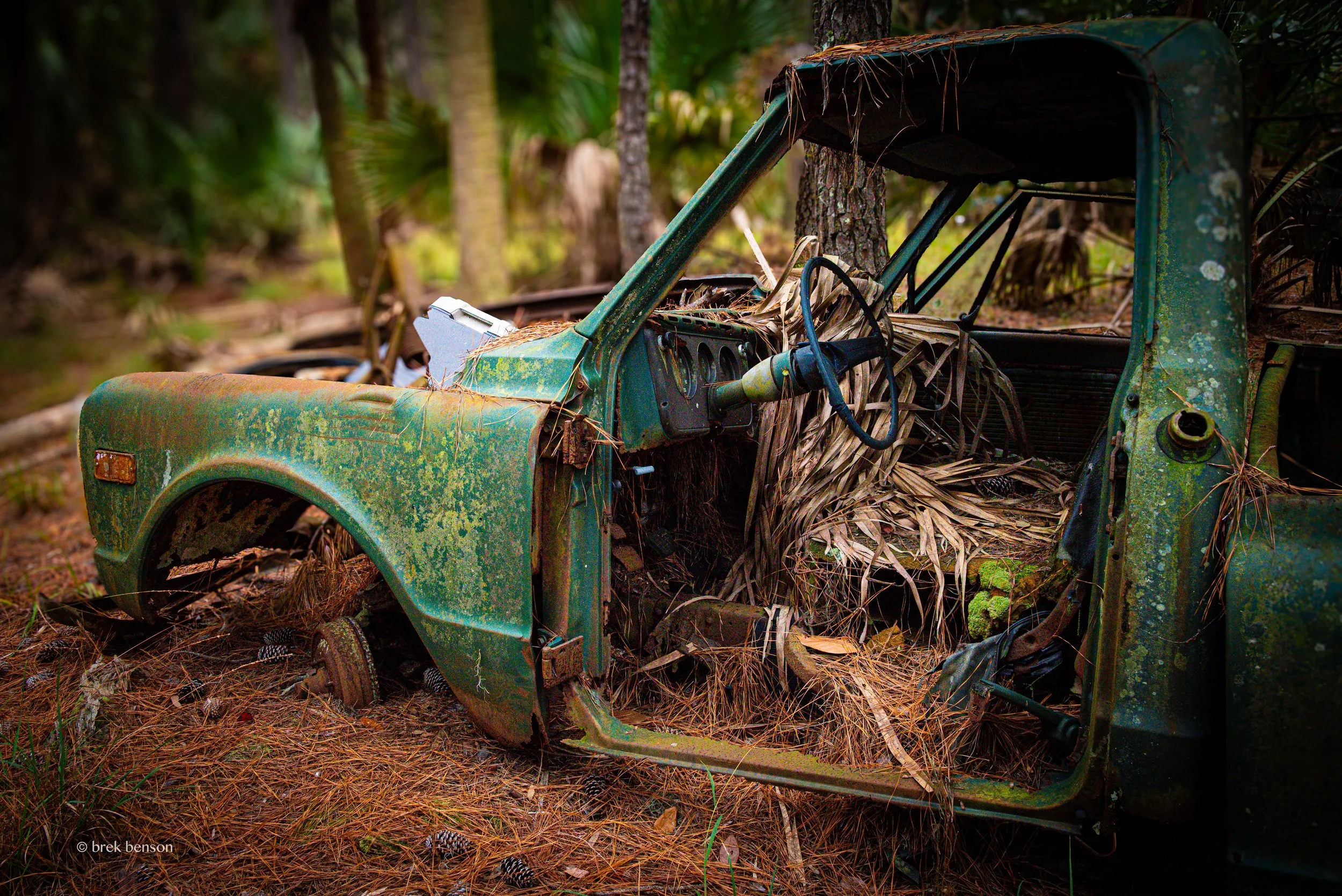 Island Truck Ossabaw 300dpi.jpg