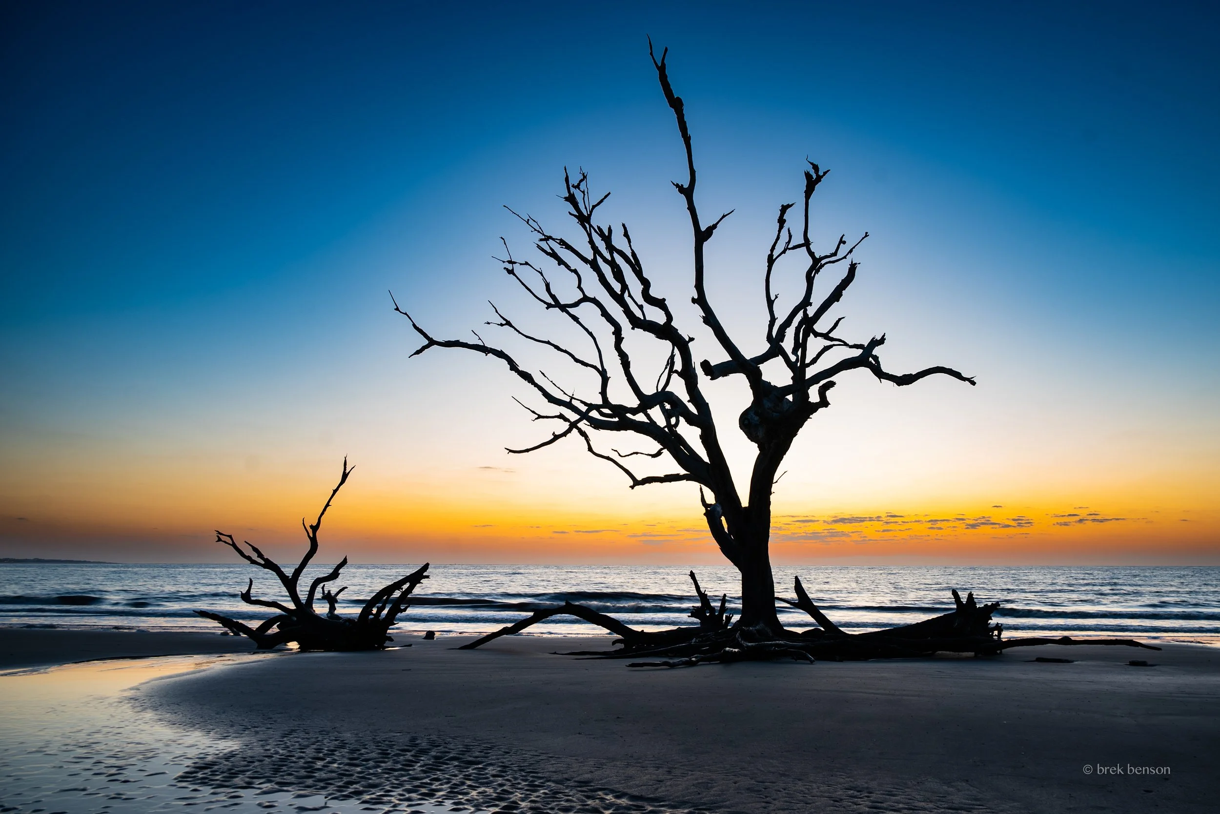 Driftwood Sunrise Birthday FNL.jpg