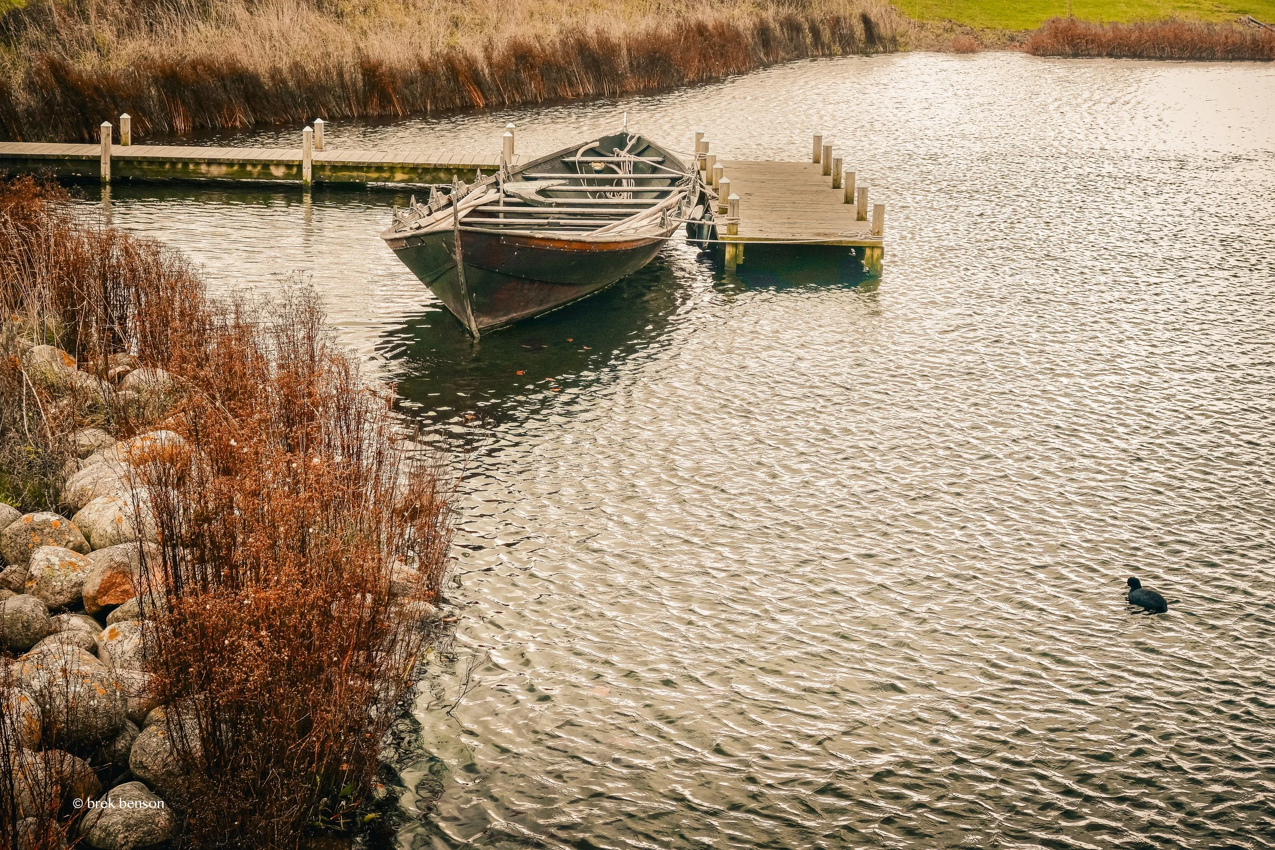Roskilde Boat and Duck 300dpi-2.jpg