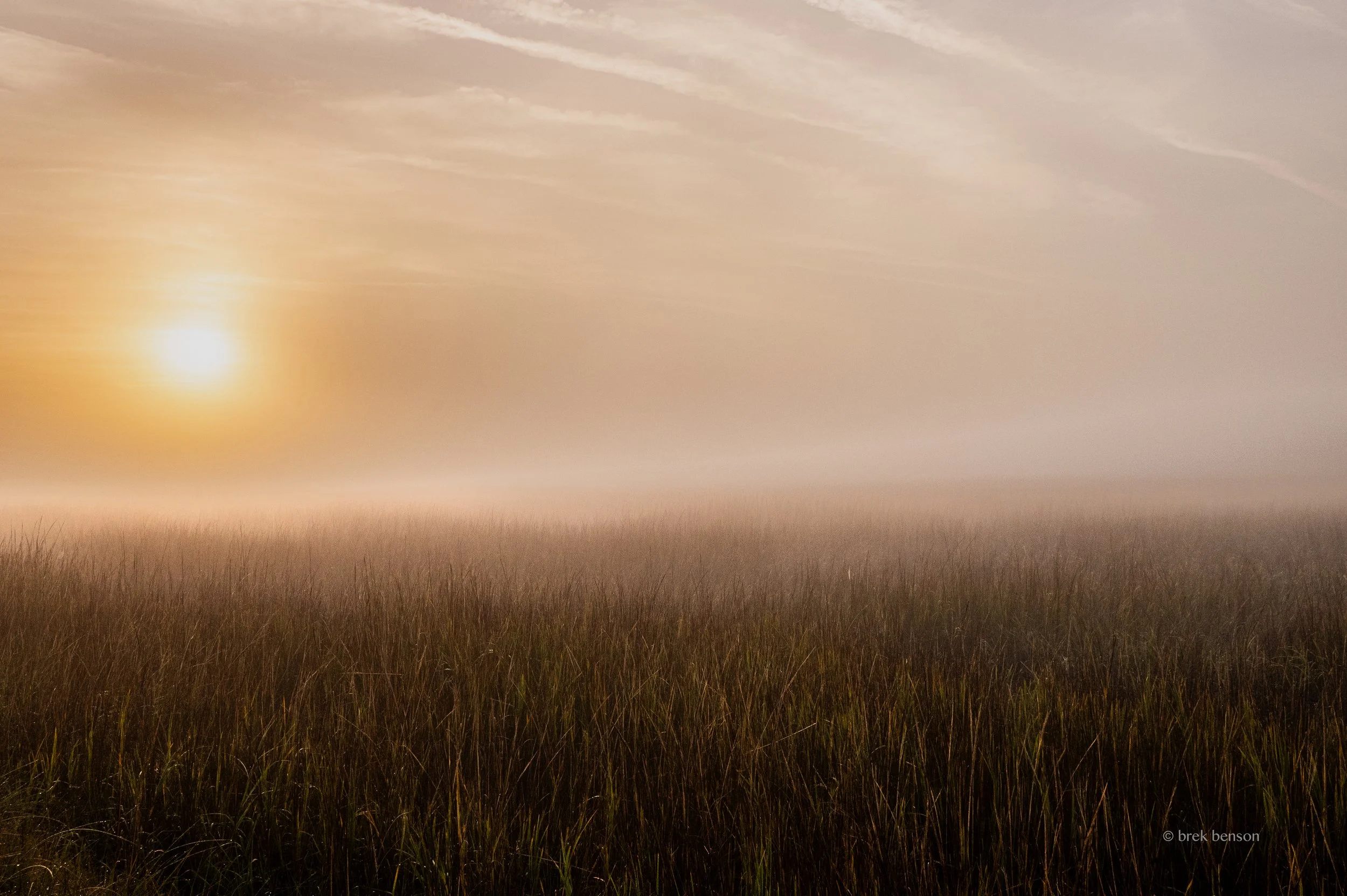 Marsh foggysunrise  morning  LG 300dpi.jpg