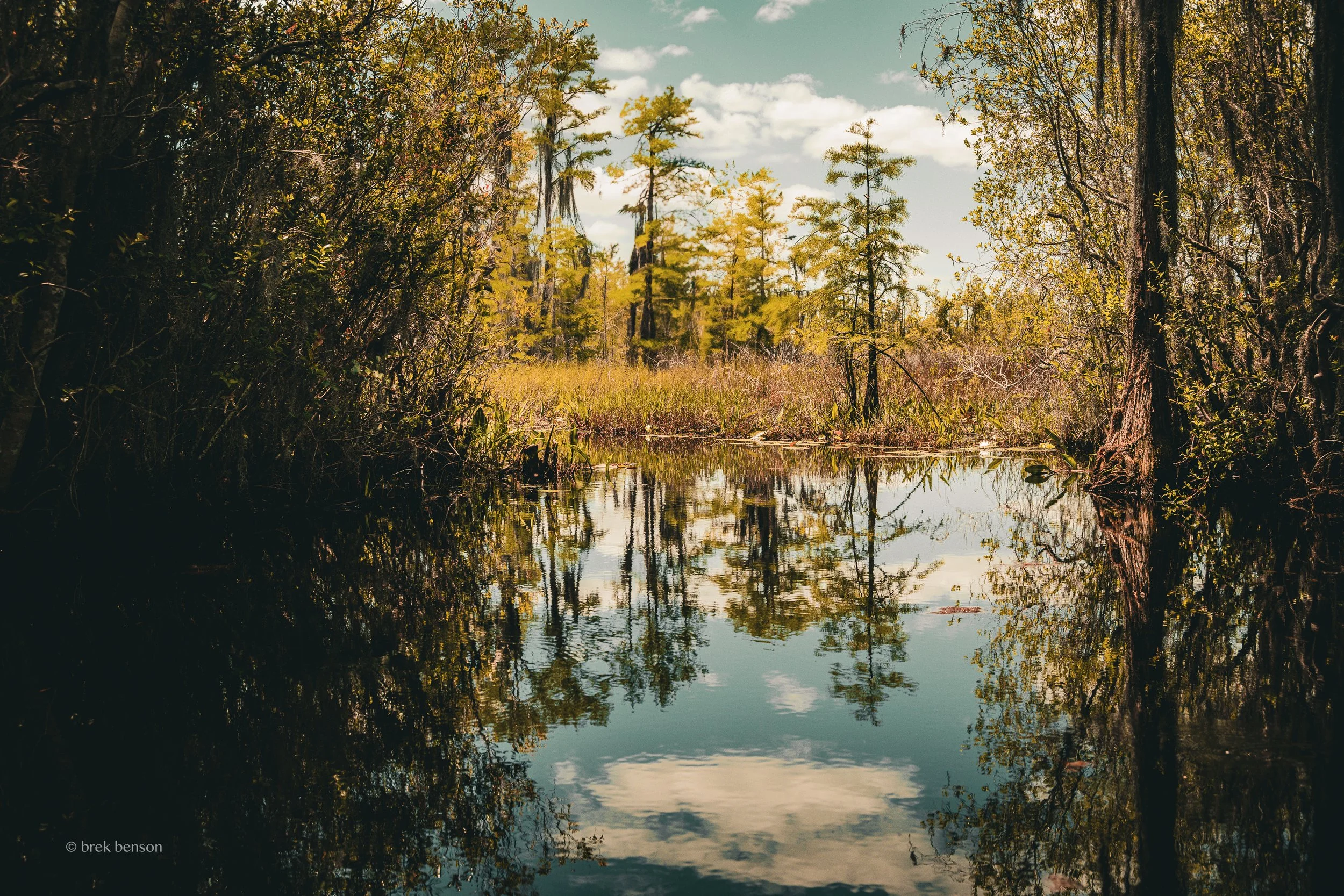 Okefenokee passage LG 300dpi.jpg