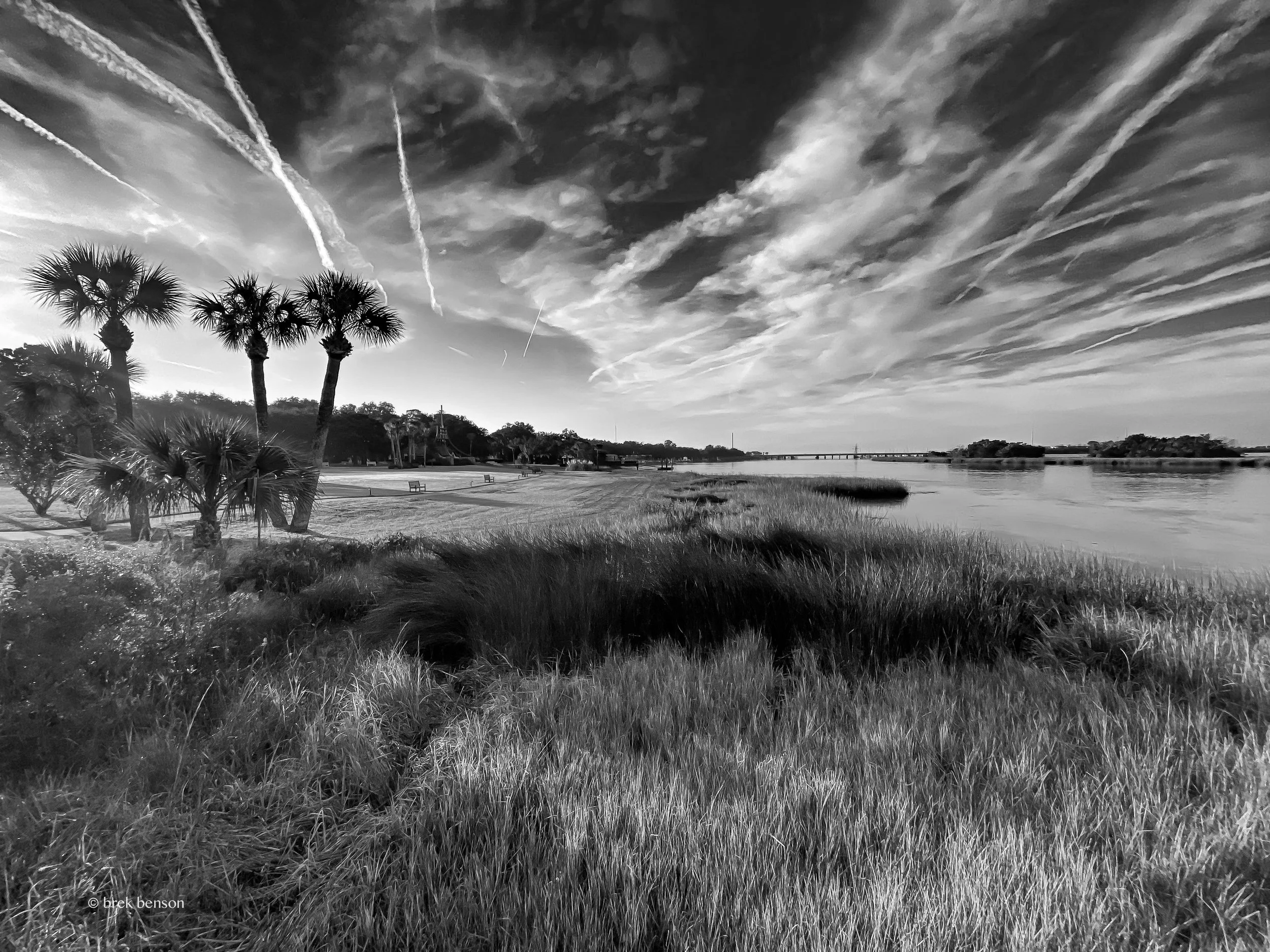 Flights BW SSi LG 300dpi .jpg