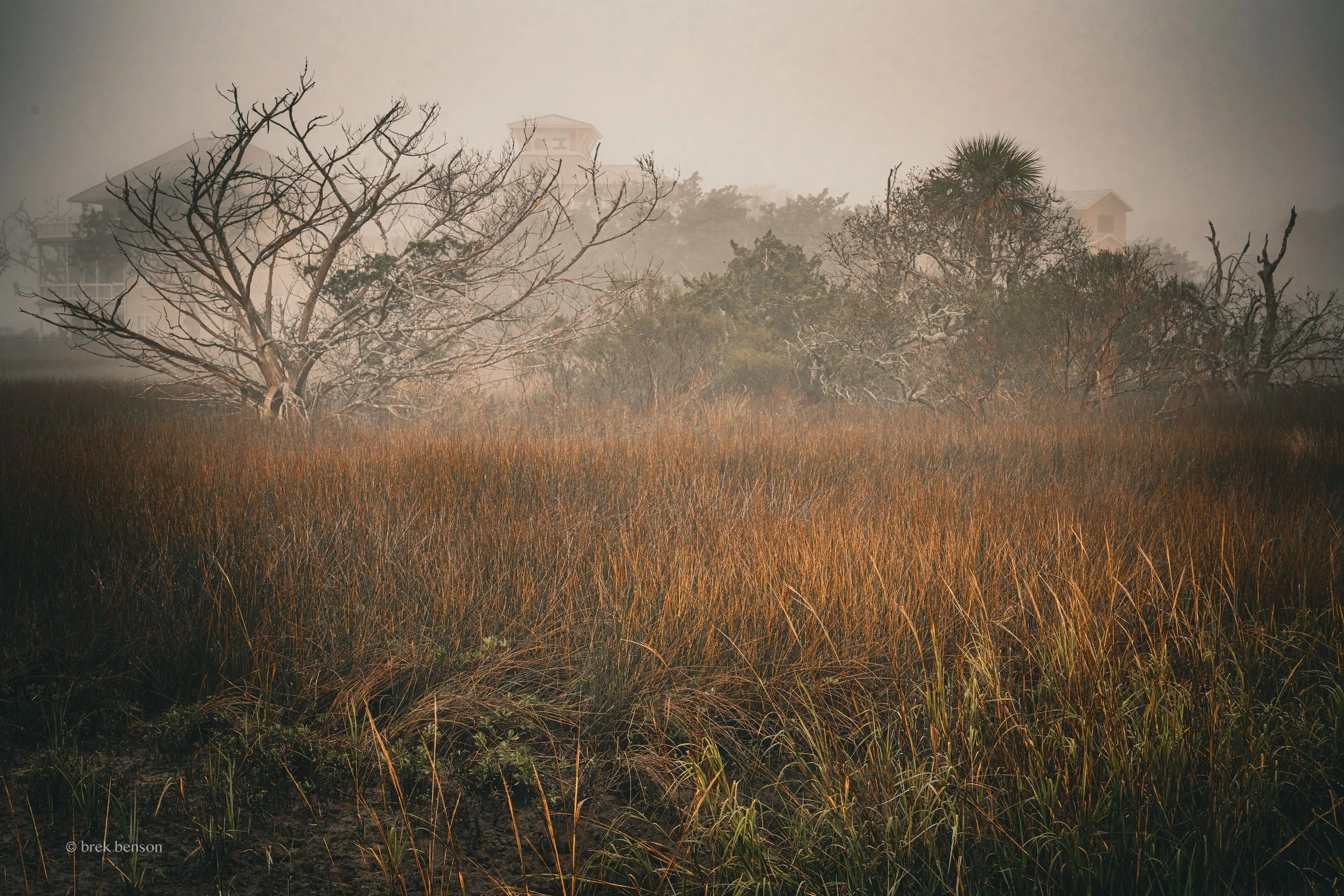 Seaside fog  LG 300dpi.jpg