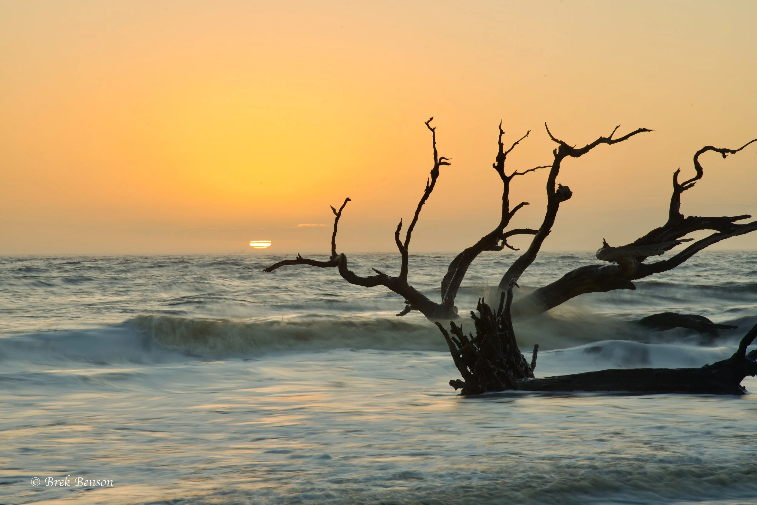 Jekyll Driftwood Beach Waves and Sun.jpg