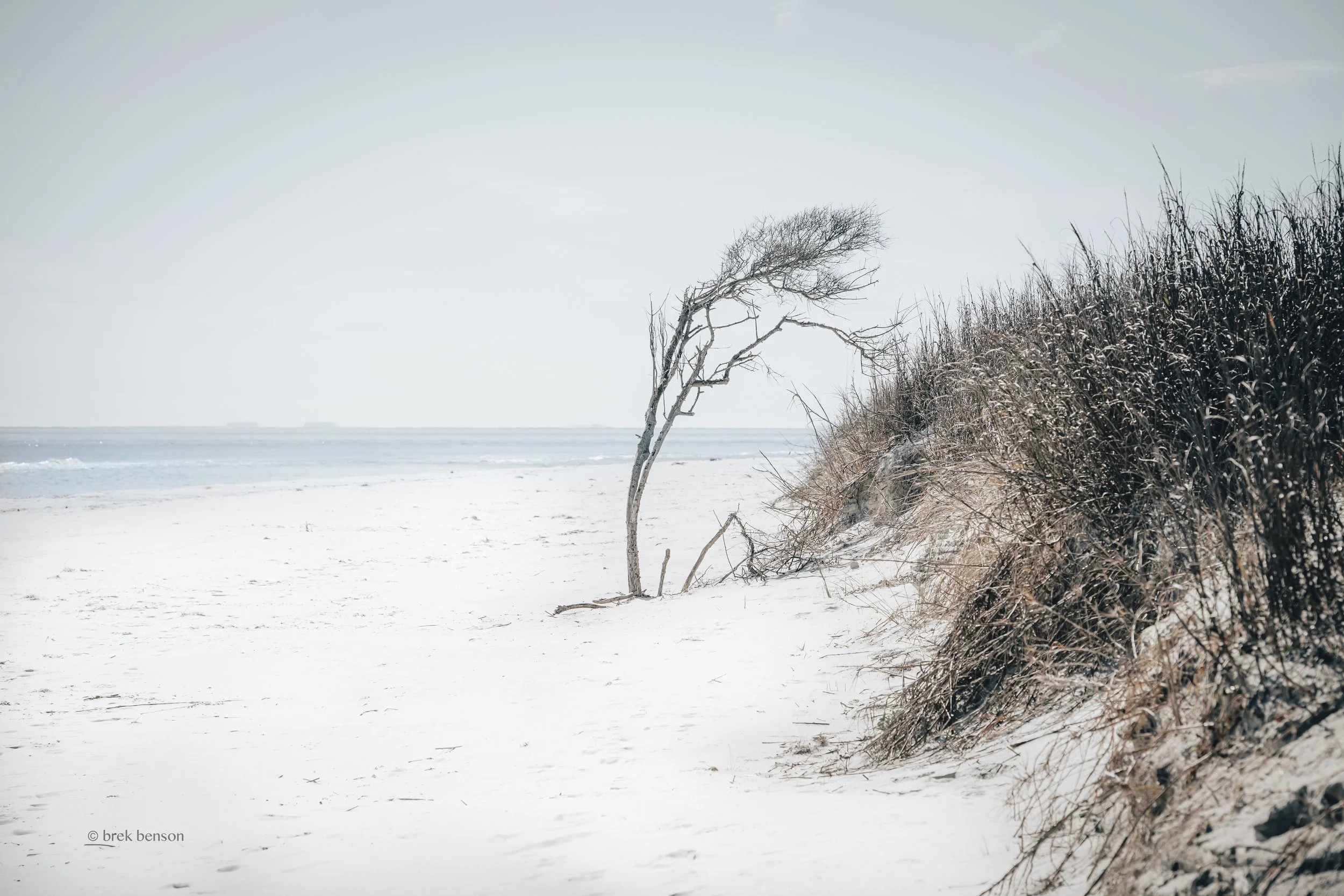 South Beach Jekyll  LG 300dpi.jpg