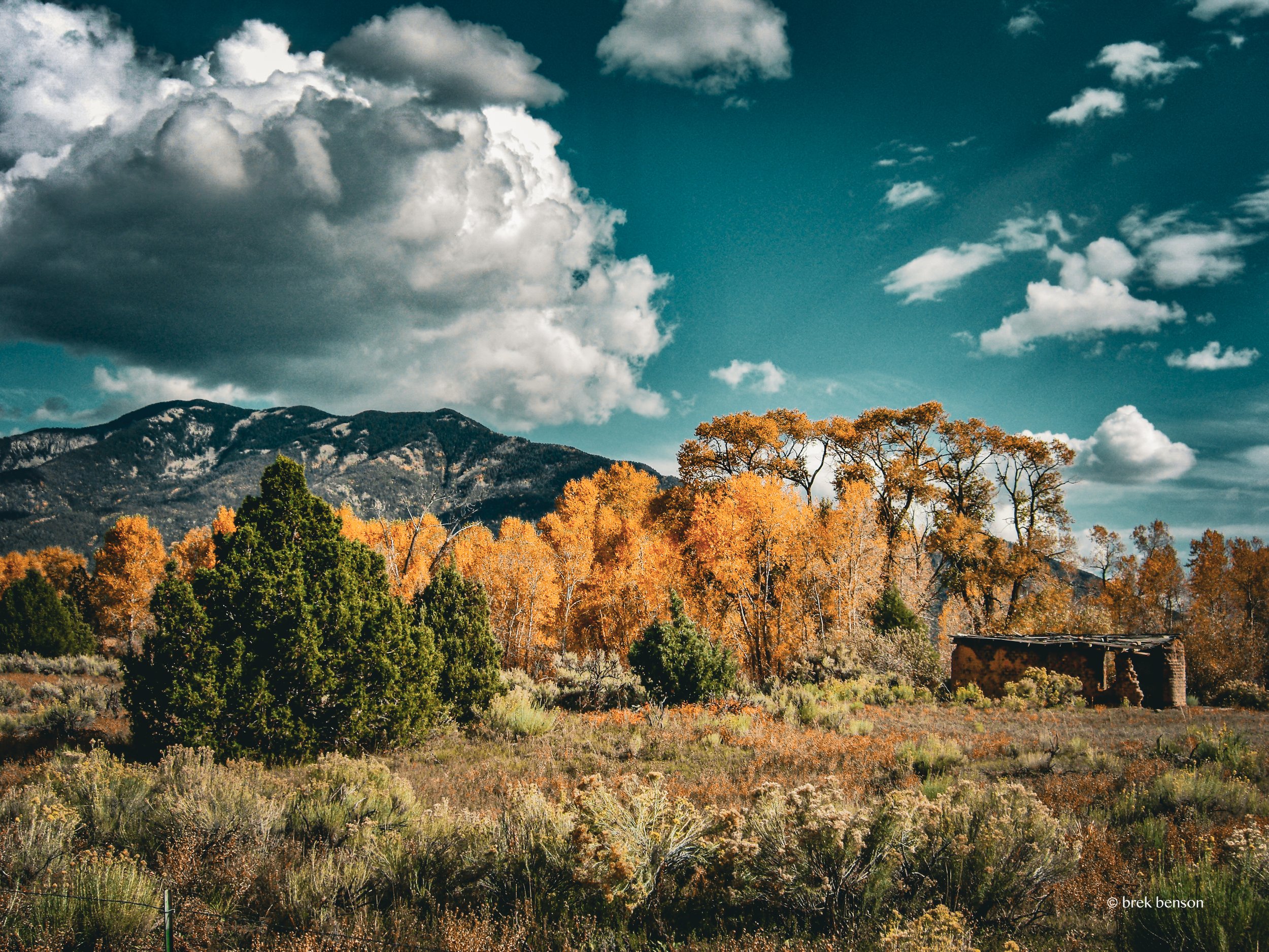 New Mexico 300dpi.jpg