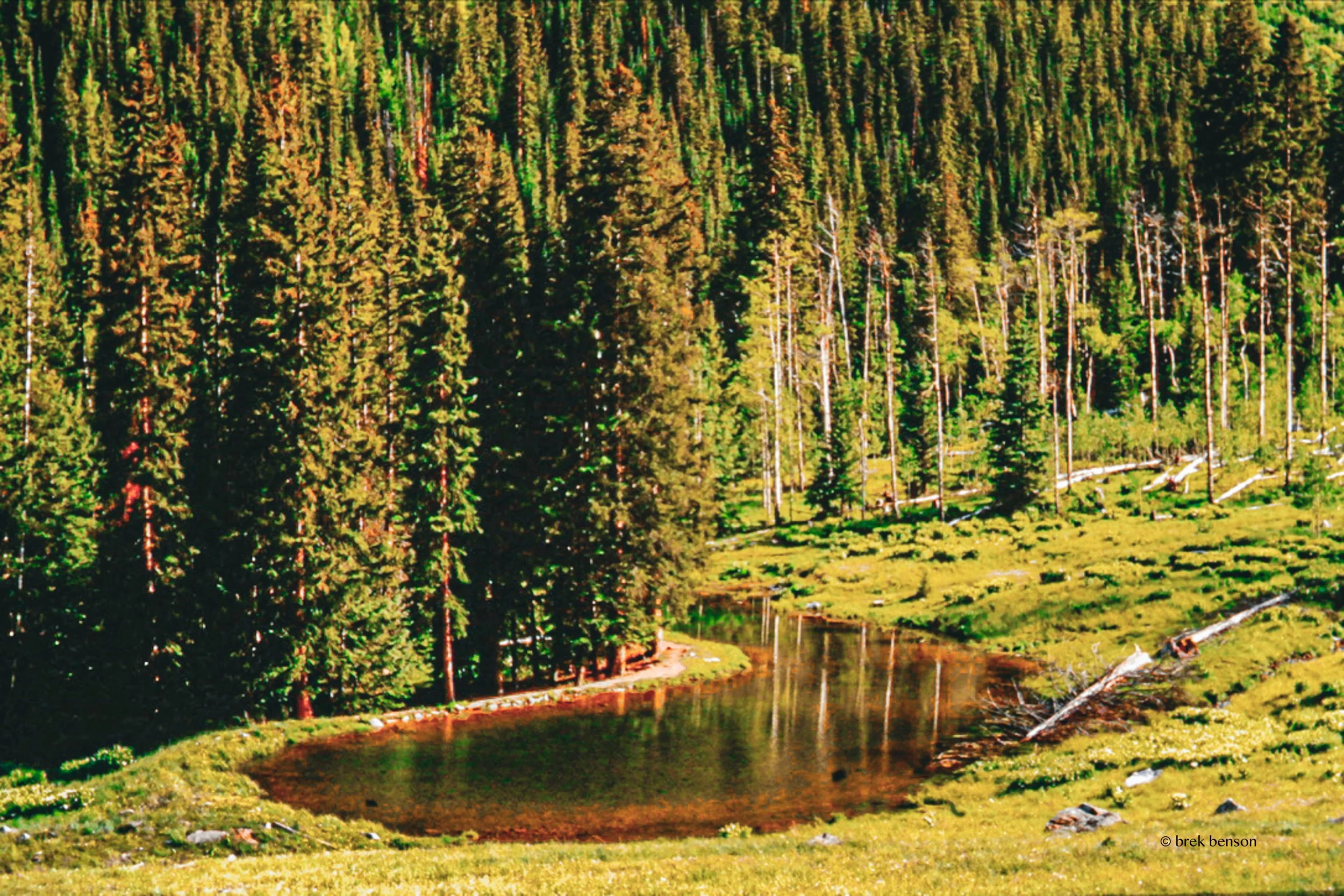 Colorado  300dpi.jpg