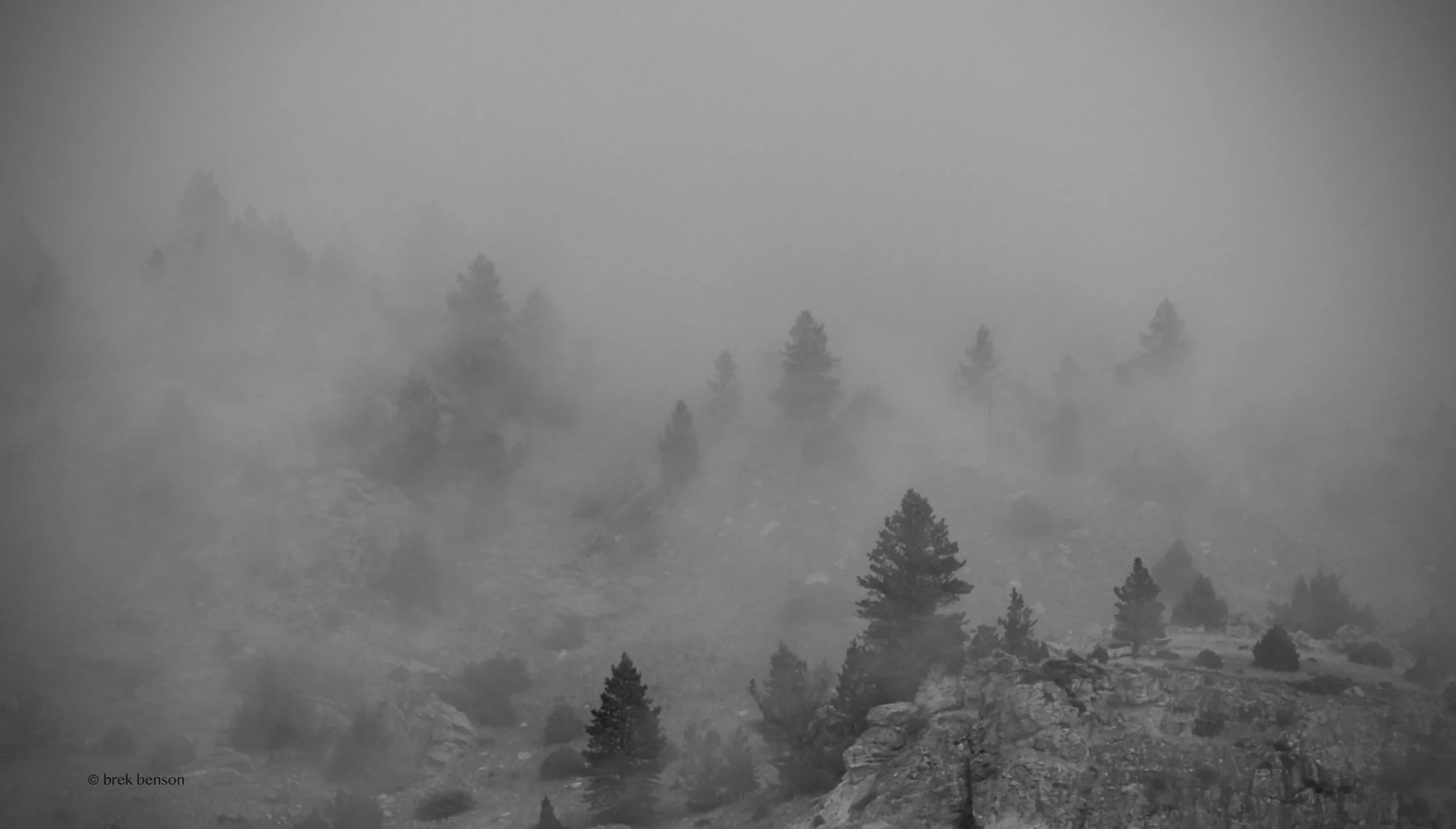 Big Horn Fog LG 300dpi .jpg