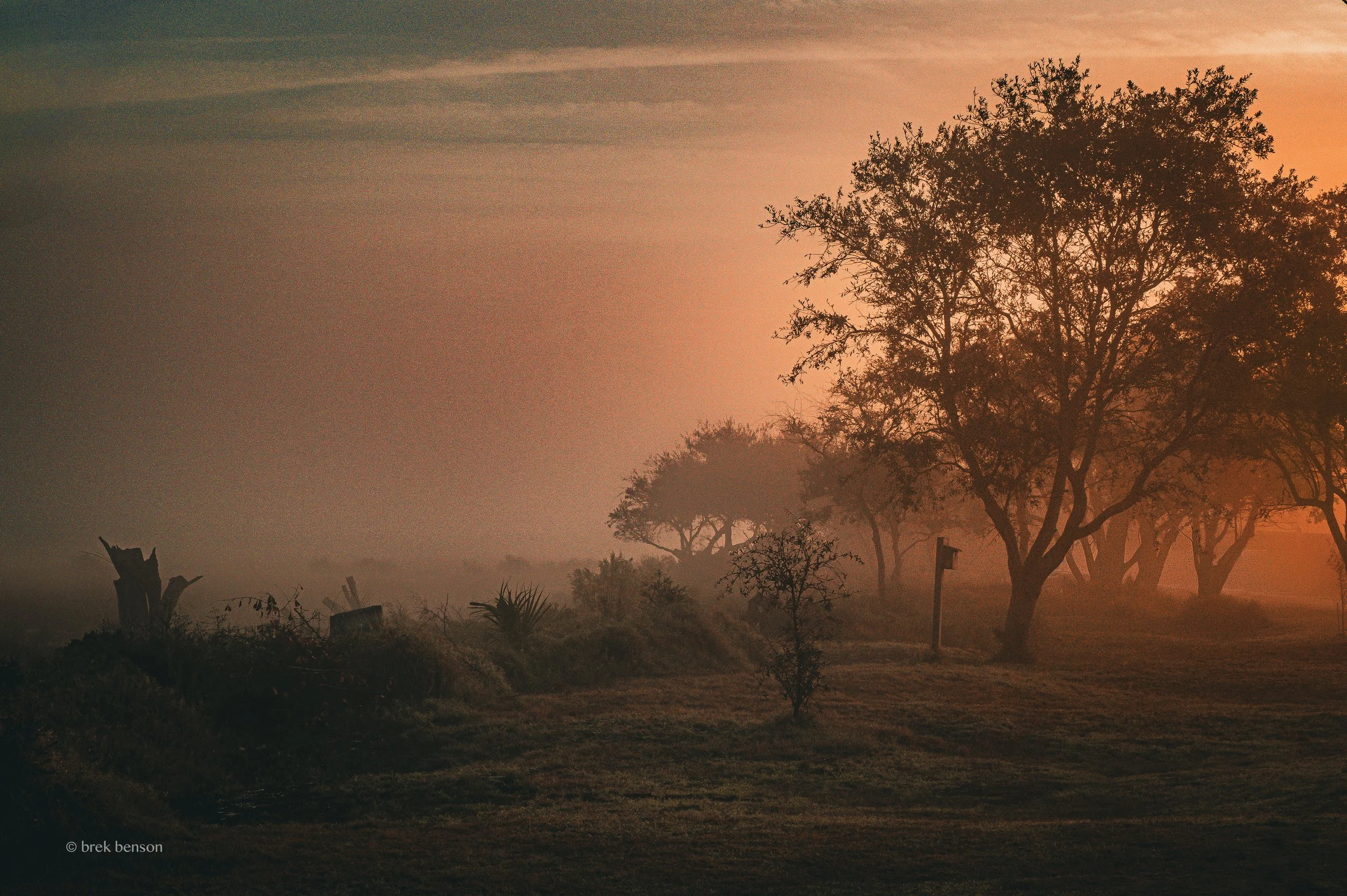Marsh foggy sunrise Harrington LG 300dpi.jpg