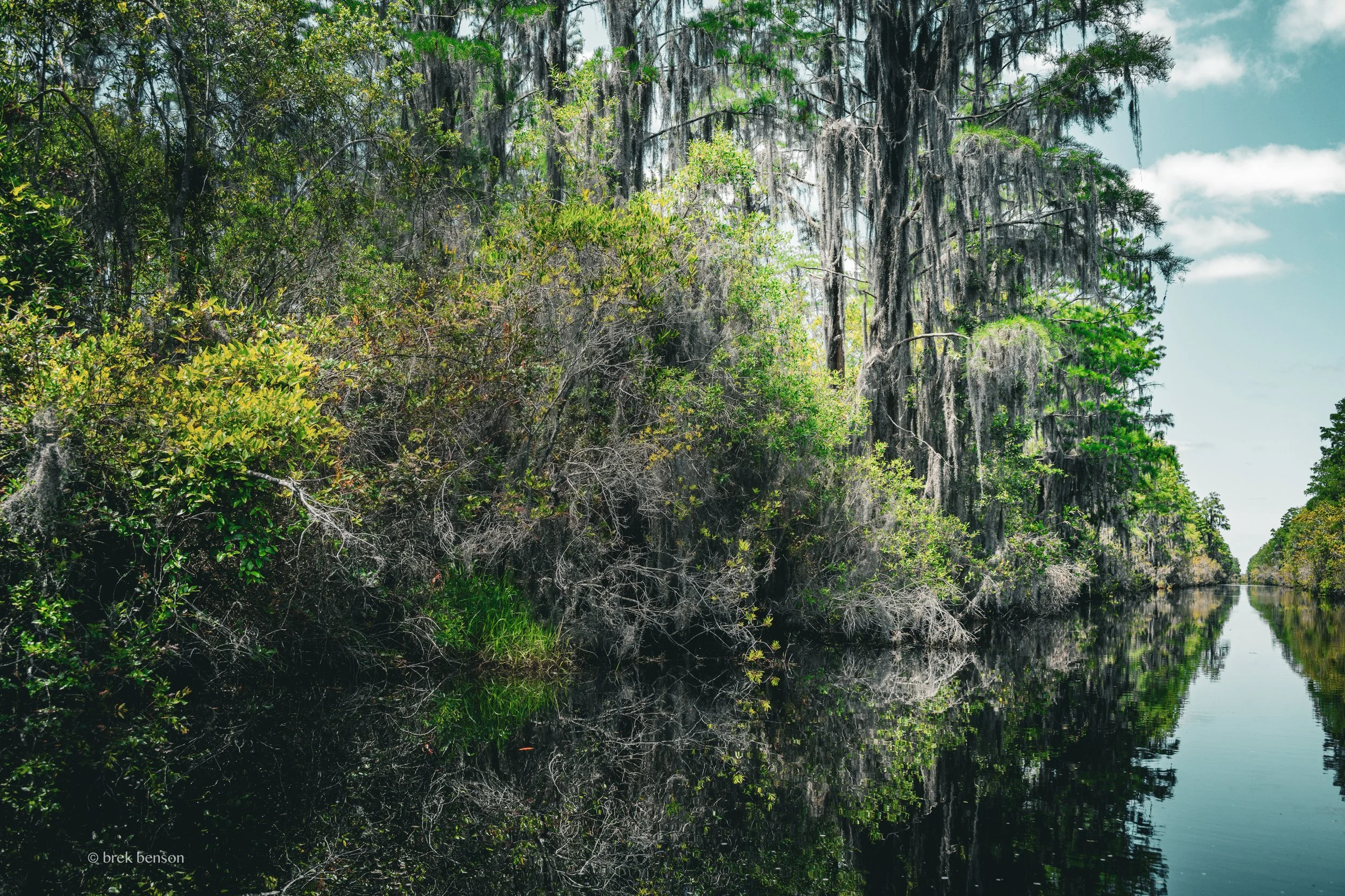 Okefenokee Canal LG 300dpi.jpg