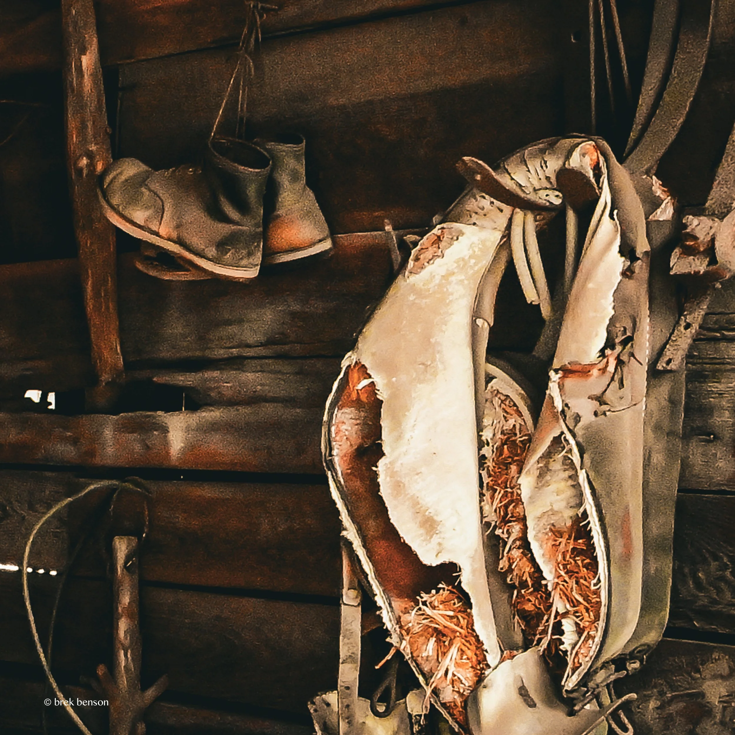 Barn finds Georgia LG 300dpi.jpg