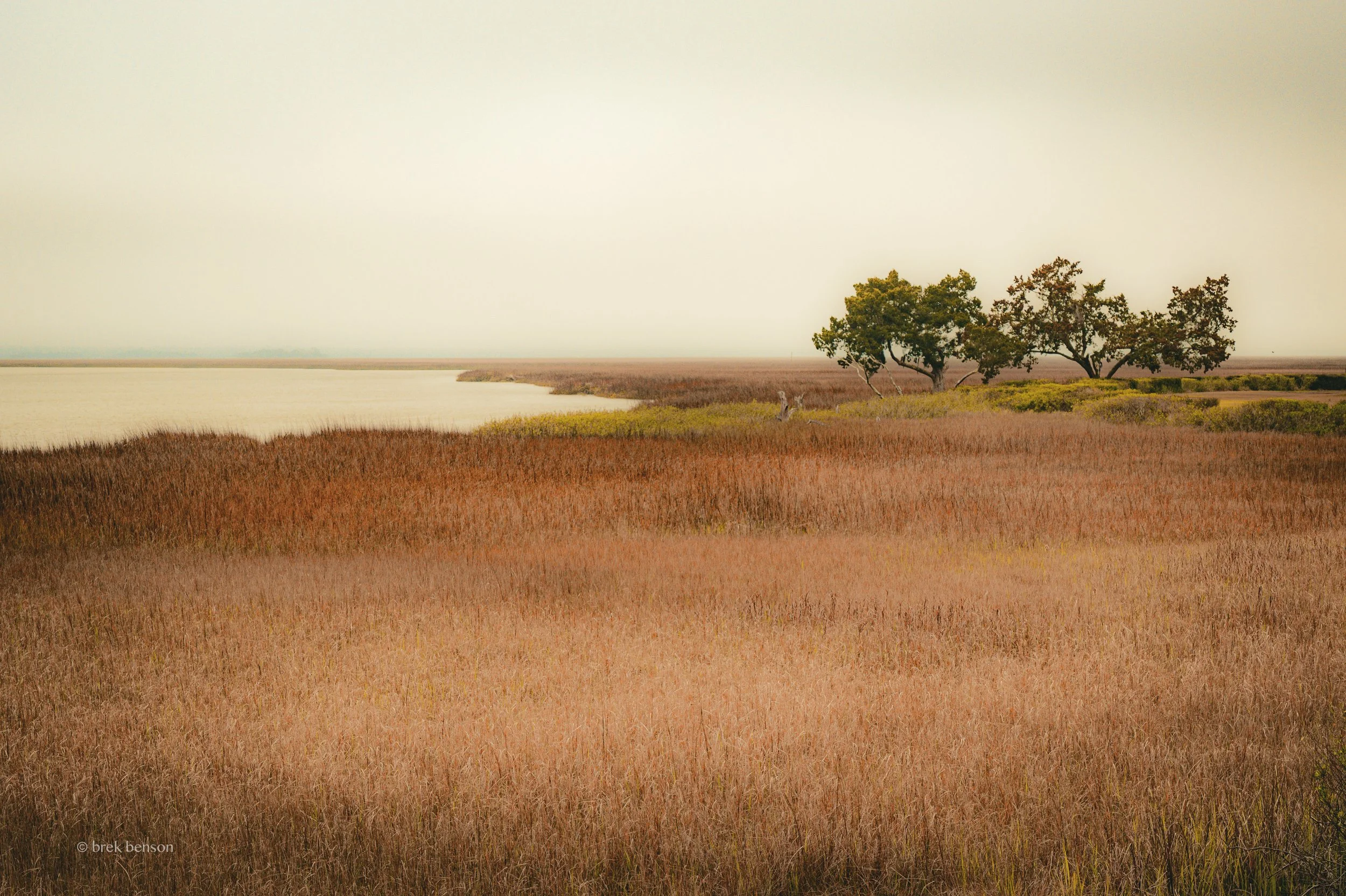 Epworth Marsh soft view 300dpi.jpg