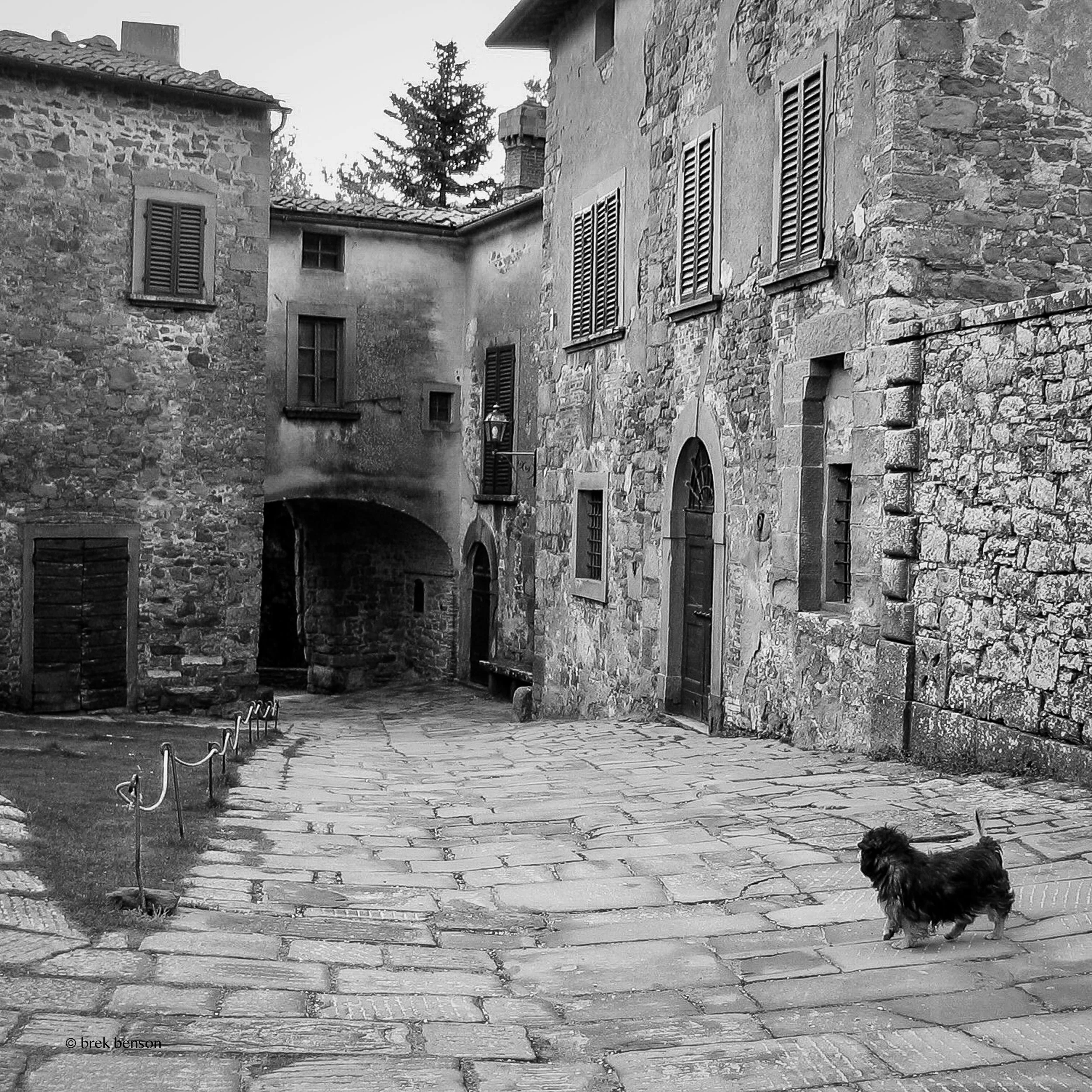 BW Italy village and dog 300dpi.jpg