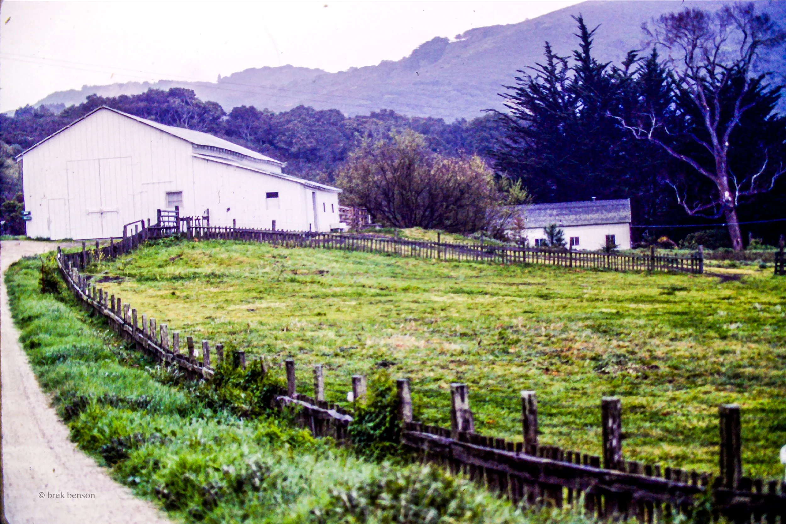 Pacific farm LG 300dpi.jpg