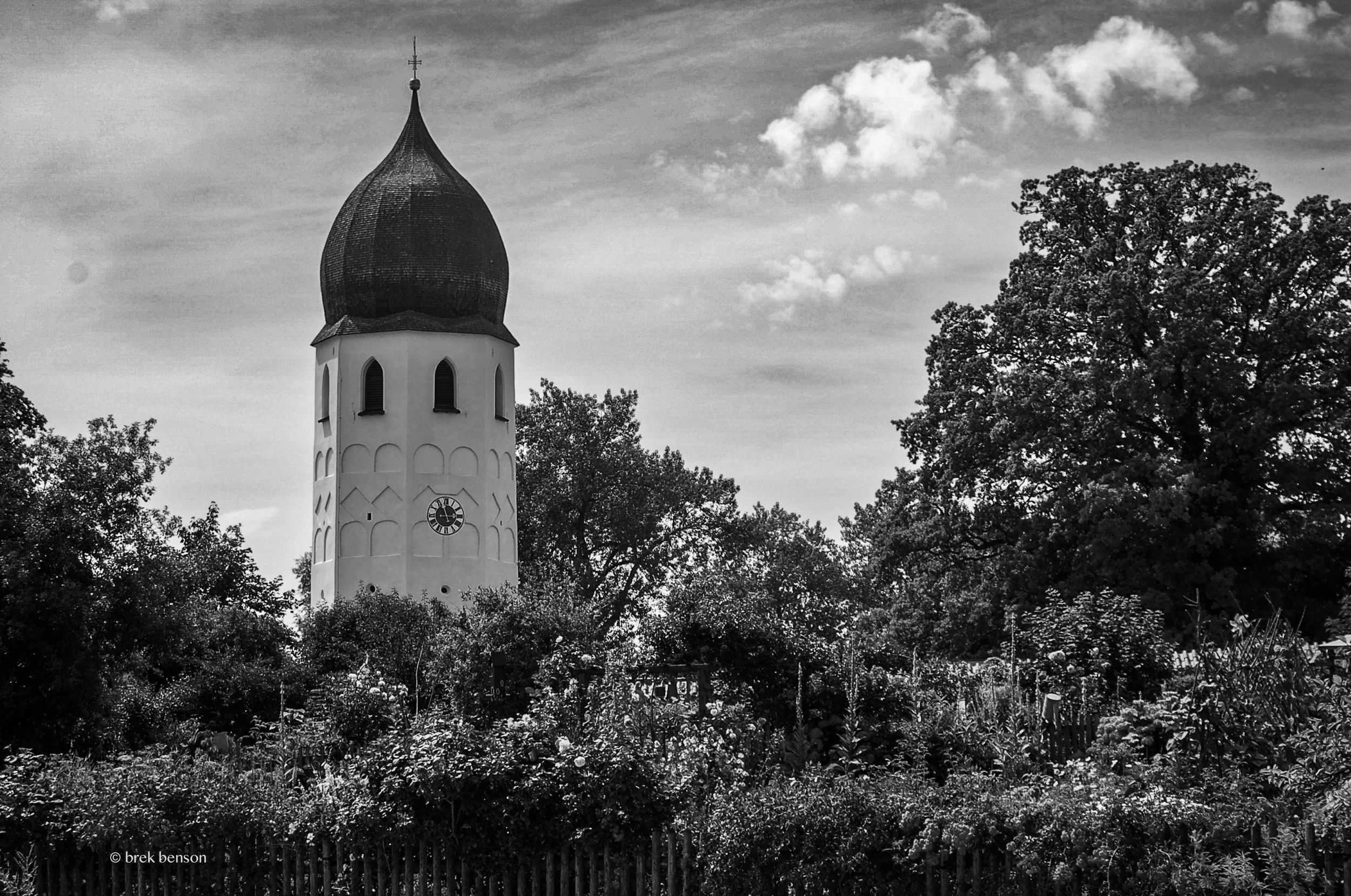 Munich Onion Dome BW LG  300dpi.jpg