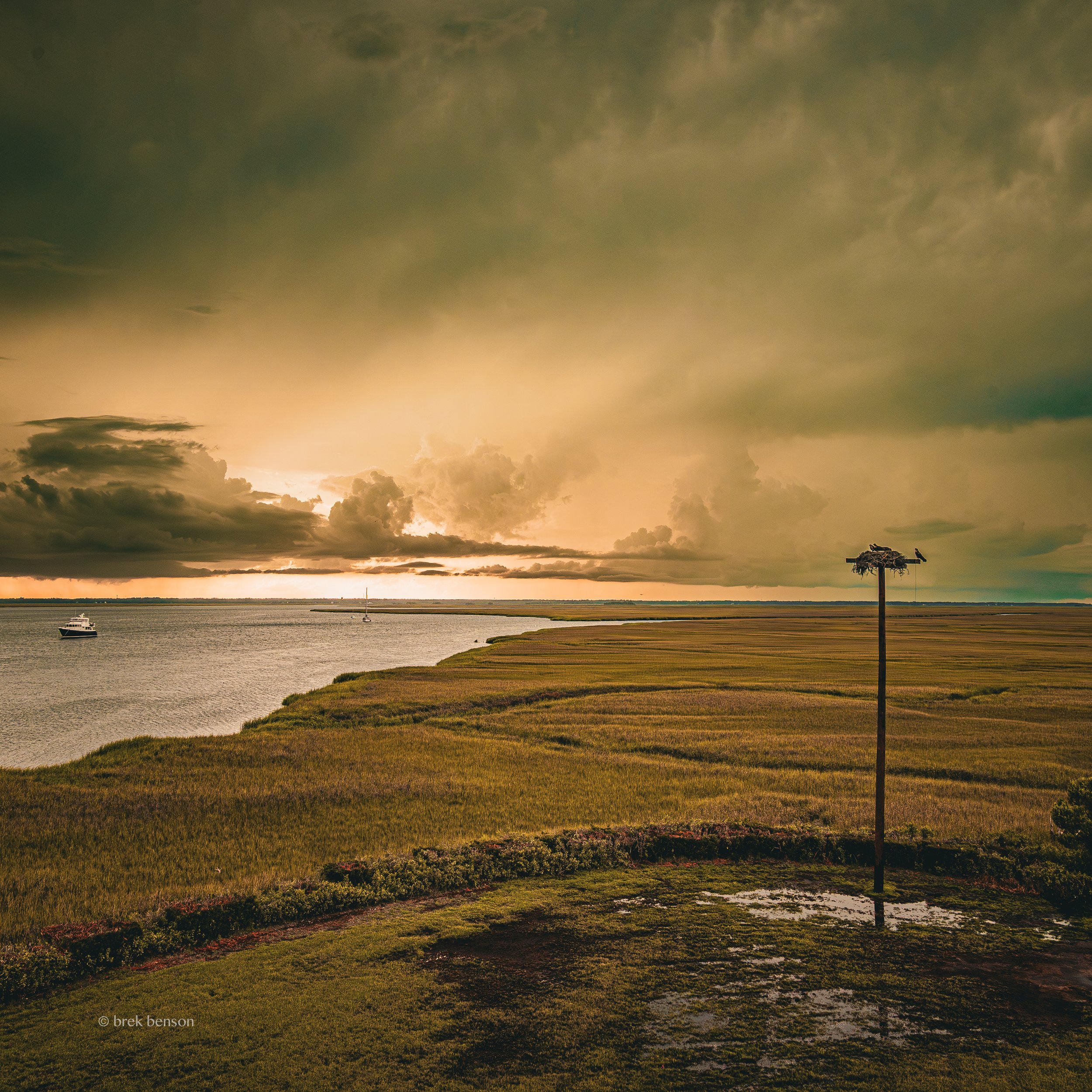 Golden Epworth 2 marsh view  LG 300dpi.jpg