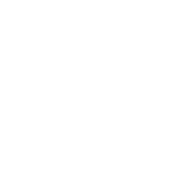 Illustration of a gear or cogwheel.
