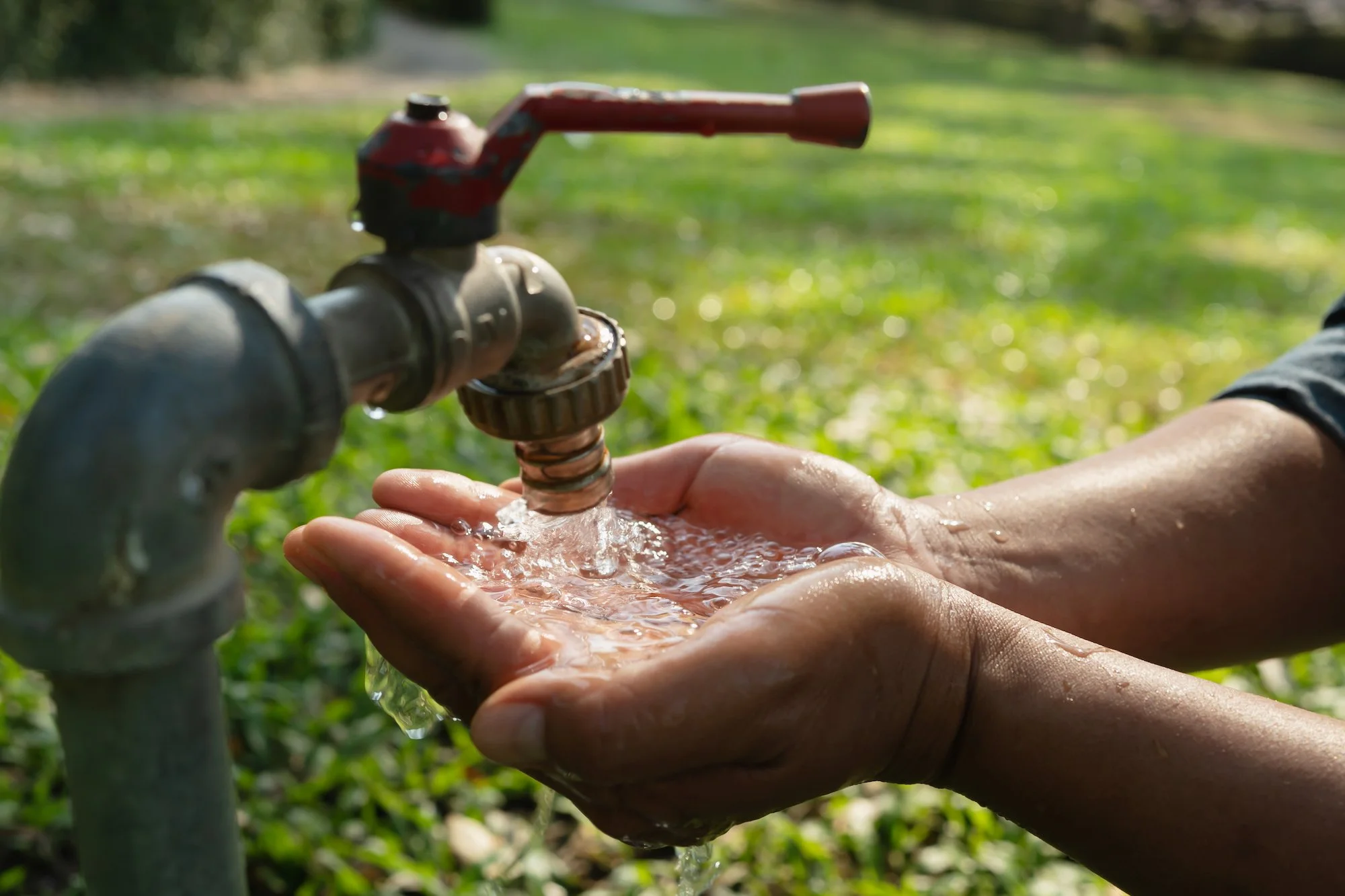 A person holding their hands under a running outdoor faucet, catching water in their hands, with a green grassy background.