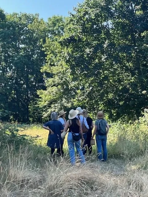 Eetbare oevers Sloterplas