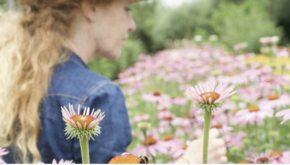 Scherm­afbeelding 2026-02-26 om 14.59.02.png