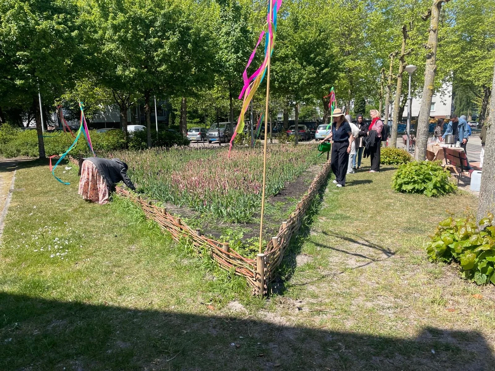 wildeveldje3.JPG