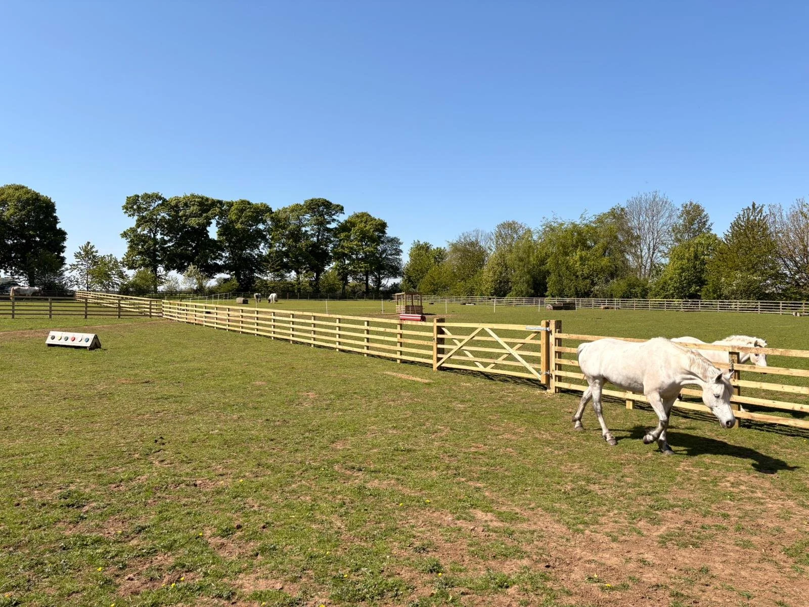 Equine Fencing