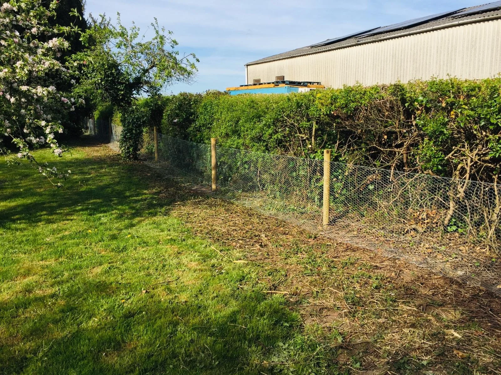 Rabbit Fencing
