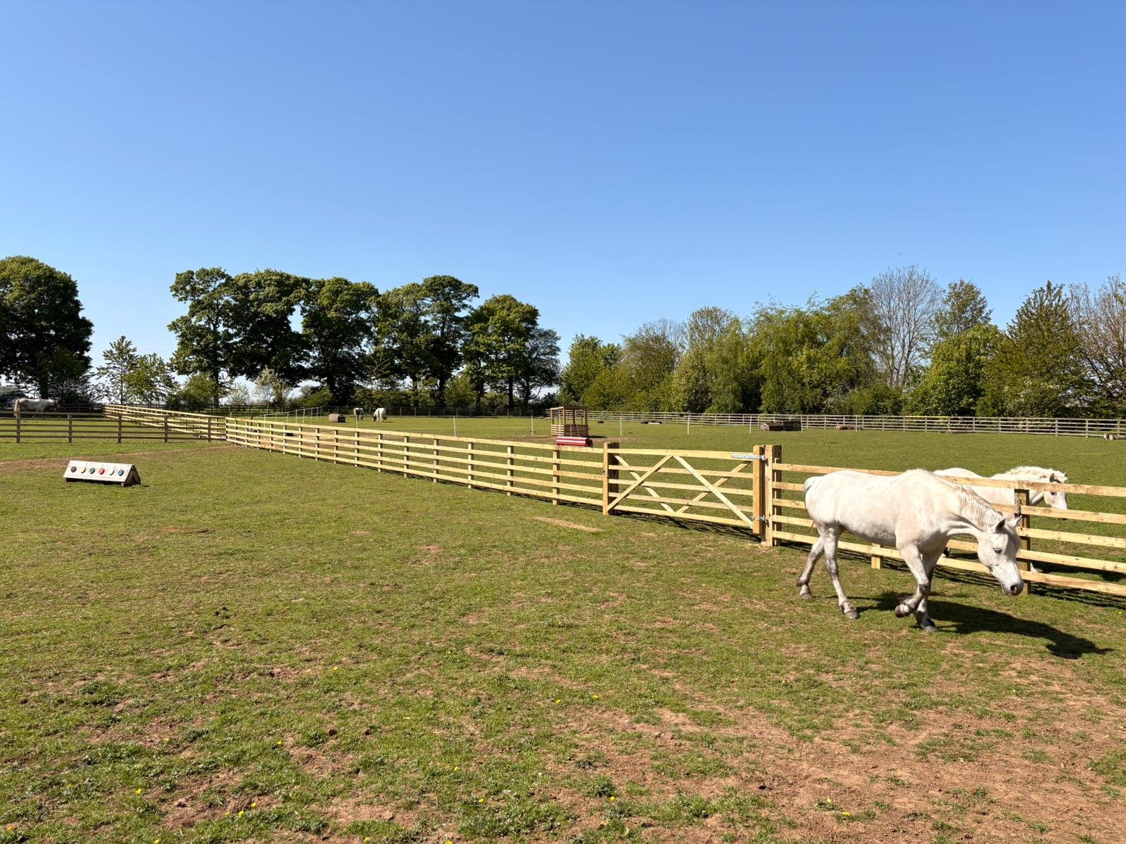 Equine Fencing