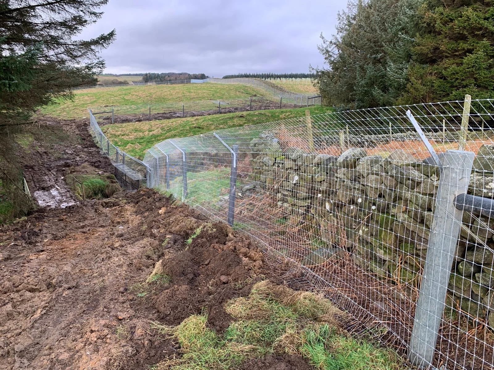 Beaver, Badger and Otter Fencing