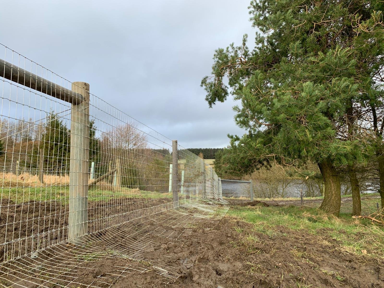 Otter Fencing