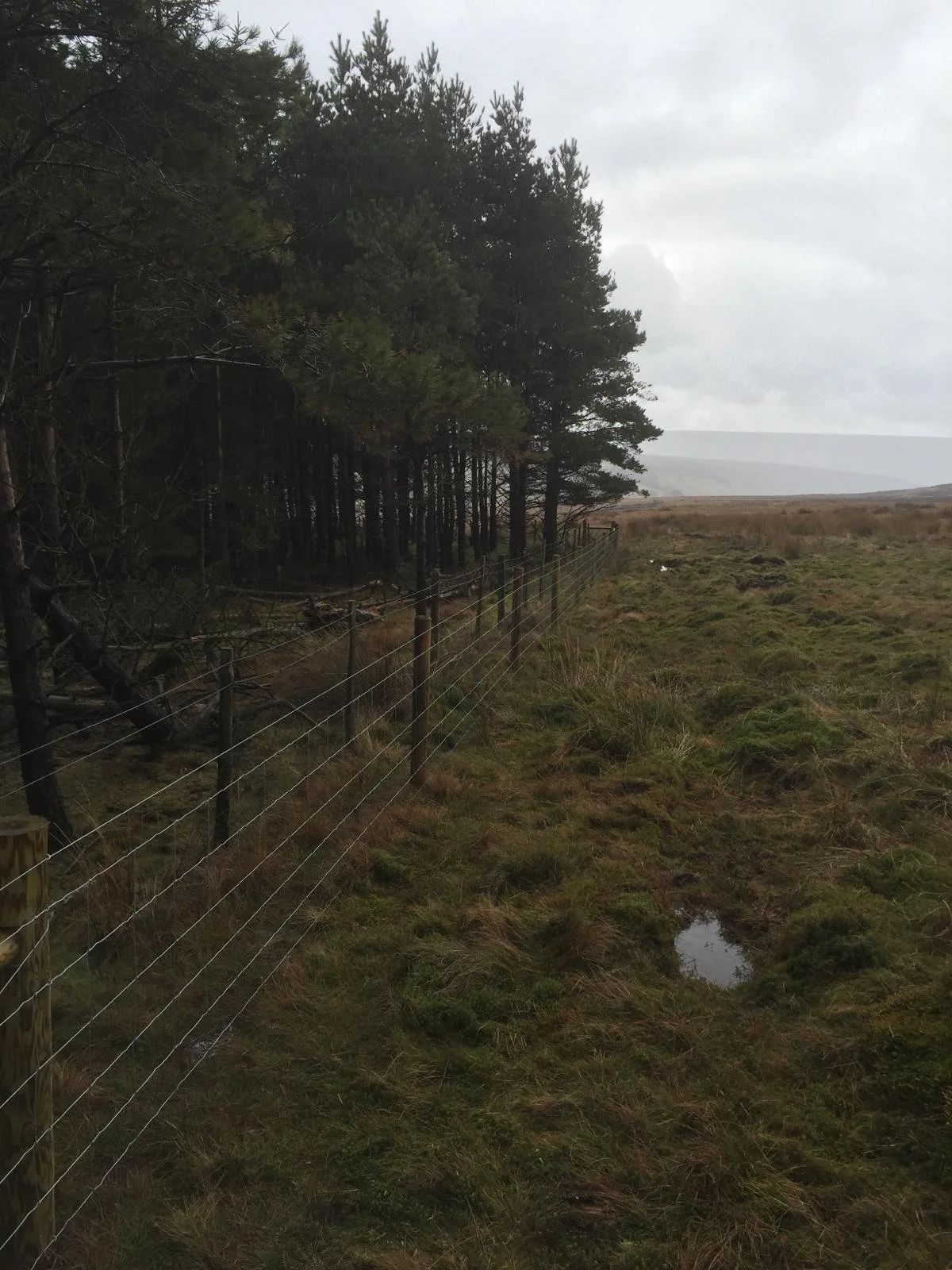 Stewardship, Grant and Defra Work