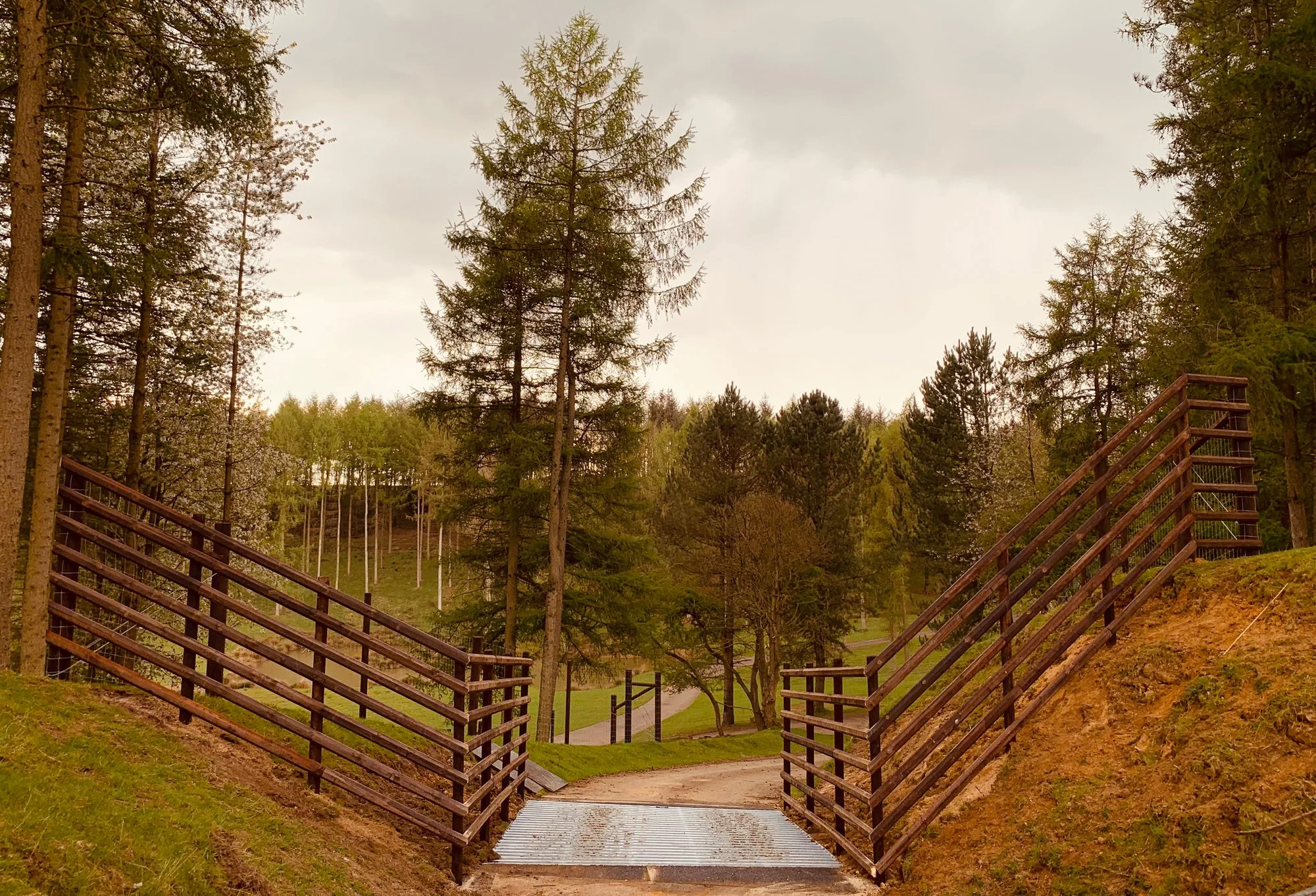 Deer Fencing Durham and Yorkshire
