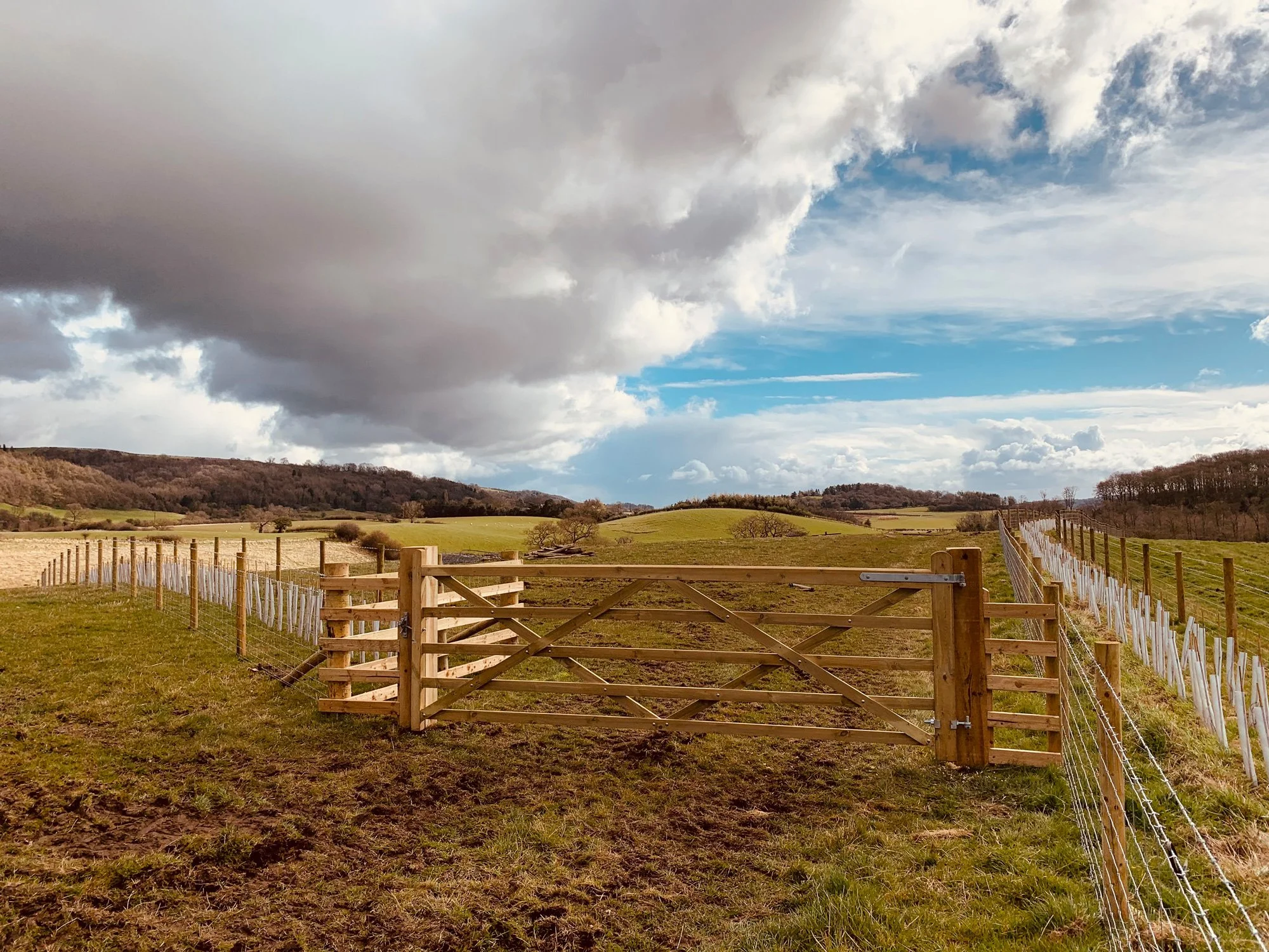 Stock Fencing North East