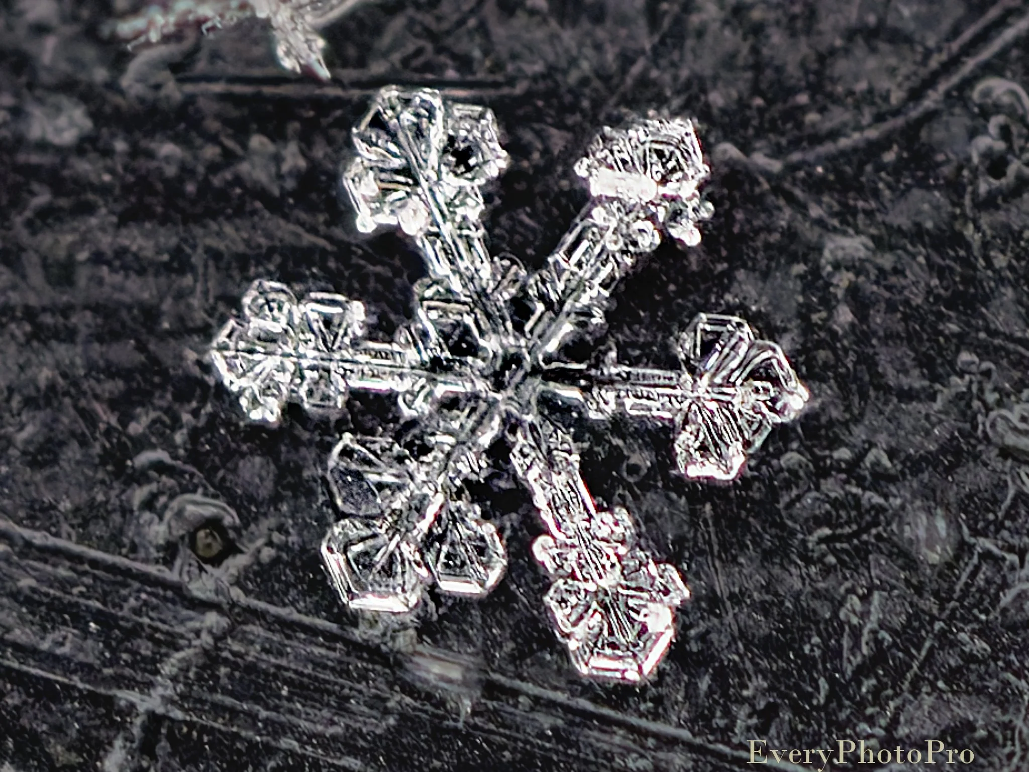 How to Photograph Snowflakes and Tiny Objects at Home – Simple Macro Setup