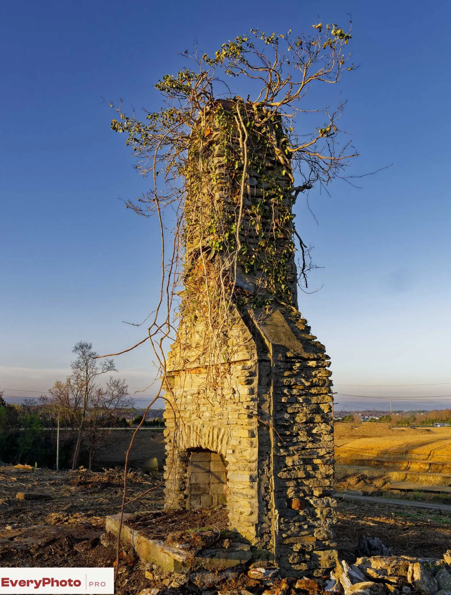 If you’re about to order your first poster print, read this before you click “buy.”