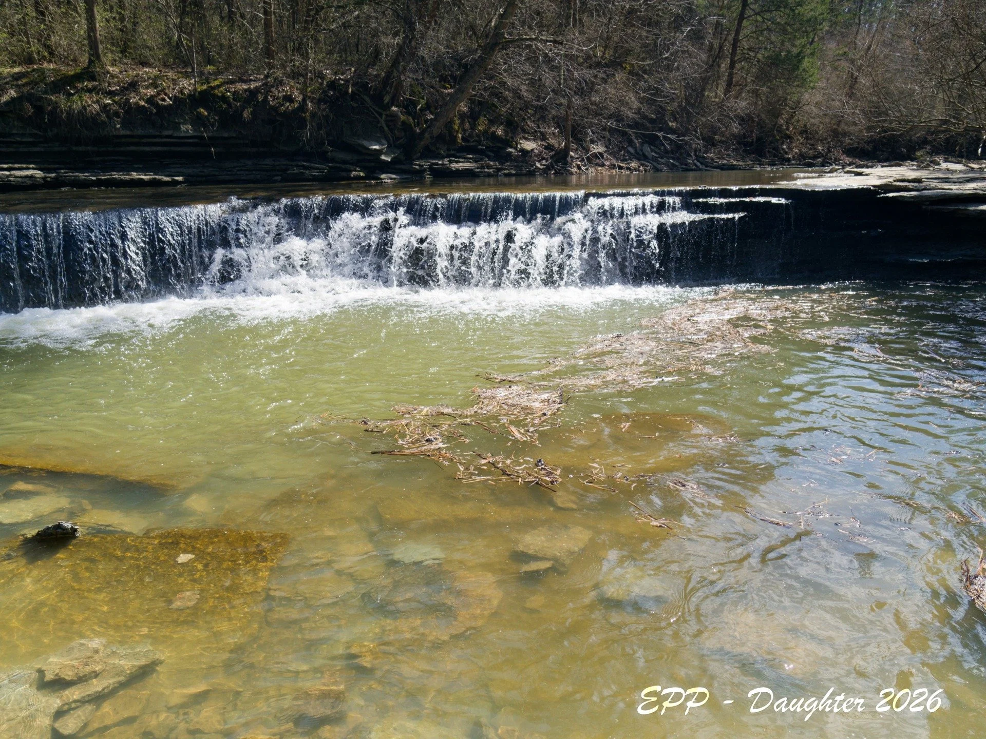 Dtr Shot of Horseshoe Falls