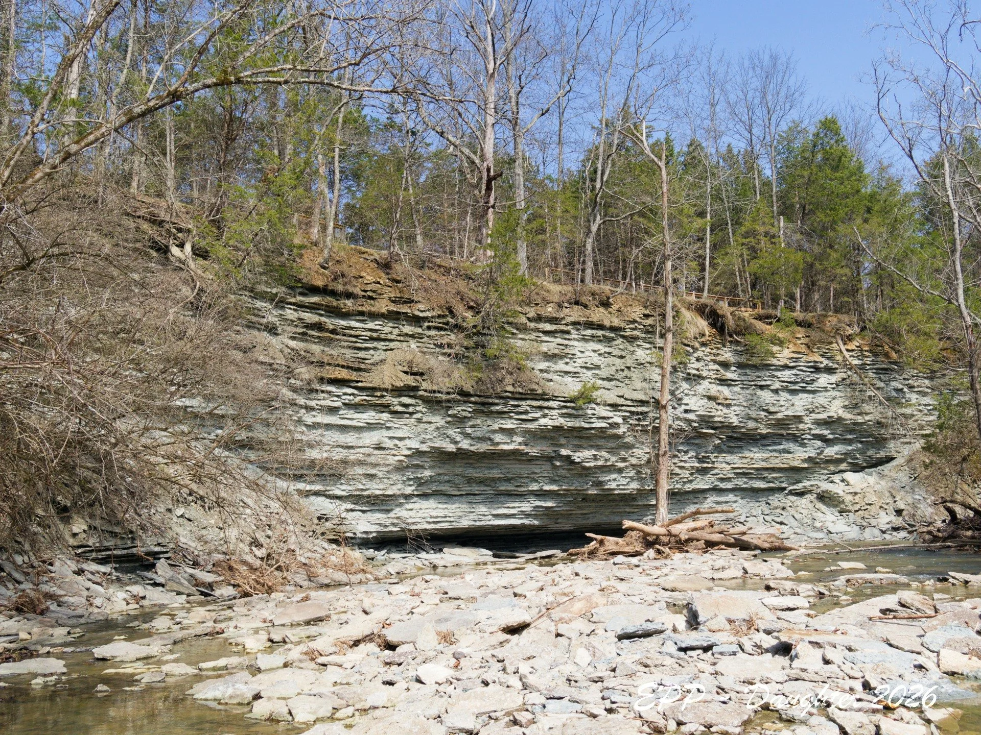 Ravine Shot other side of HorseShoe Falls