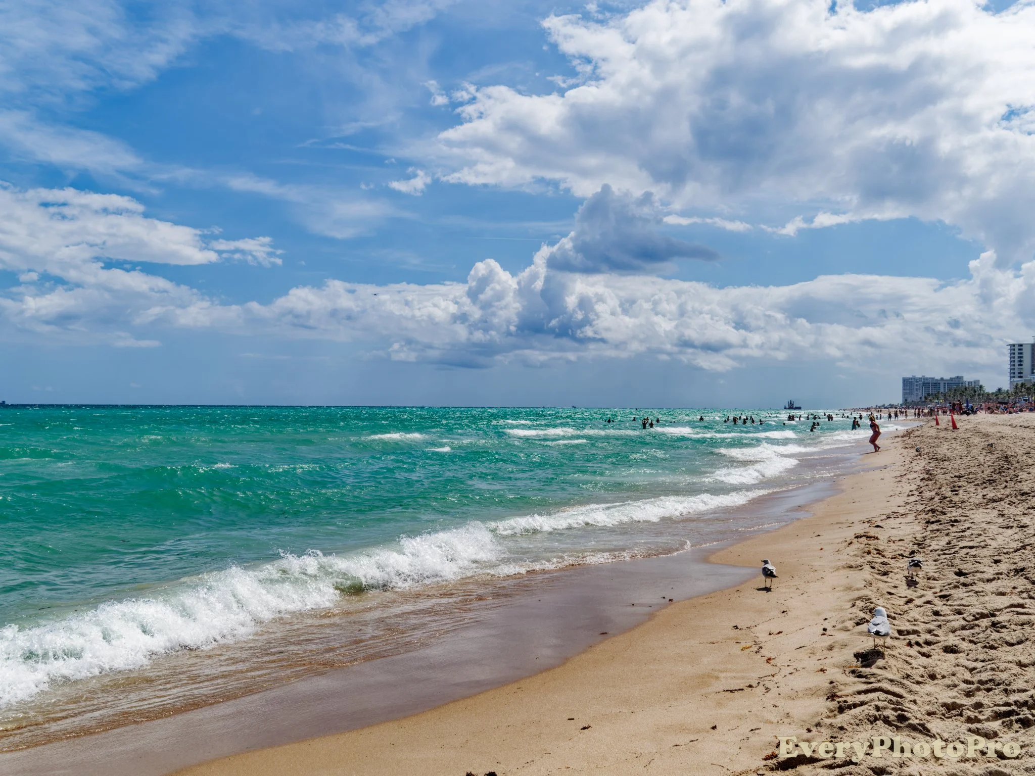 14 beach and ocean.jpg