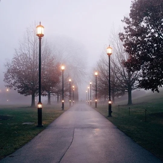 A foggy park path lined with vintage-style street lamps and trees on both sides, with fog obscuring the distance.
