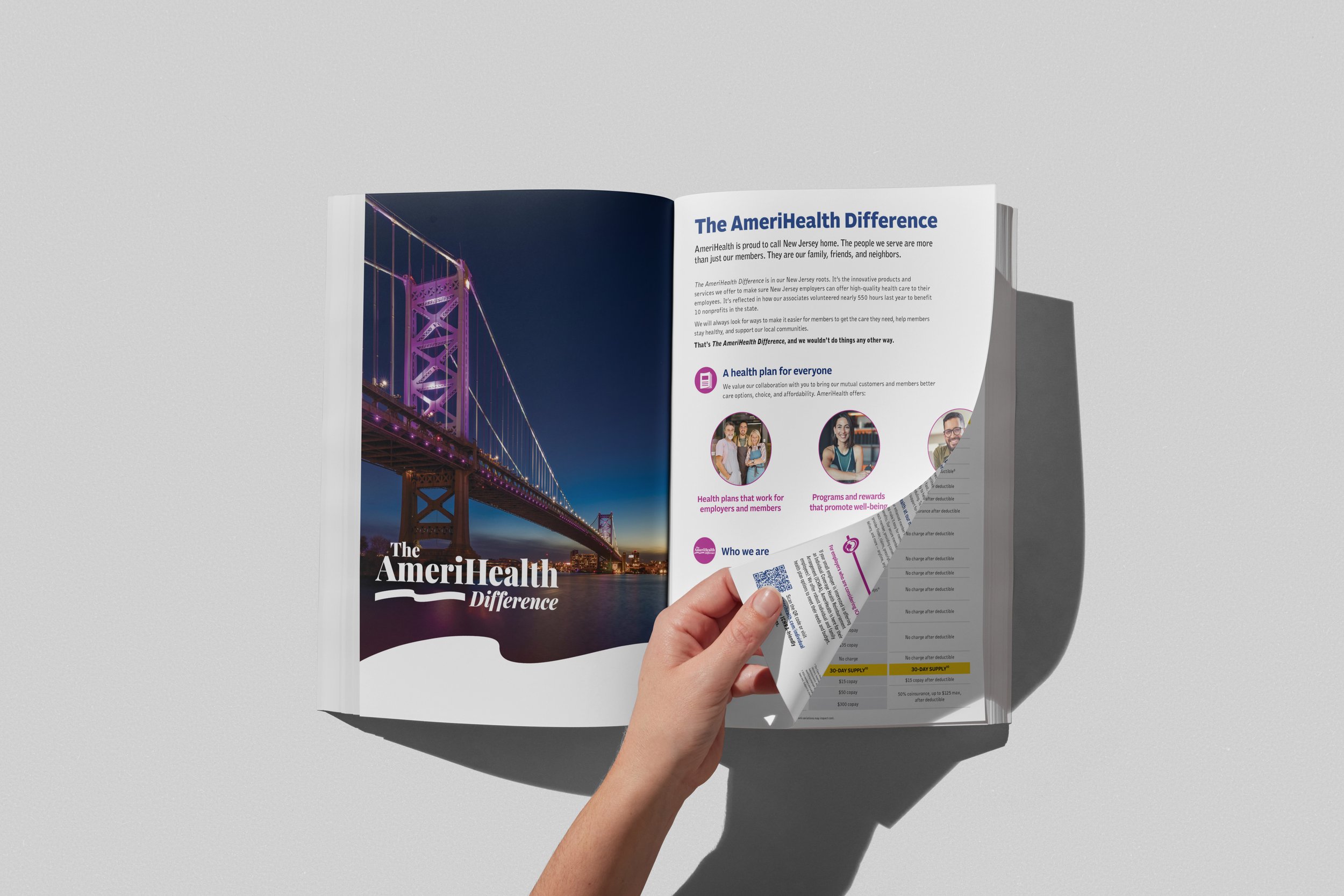 example of ahnjbrochure.jpg