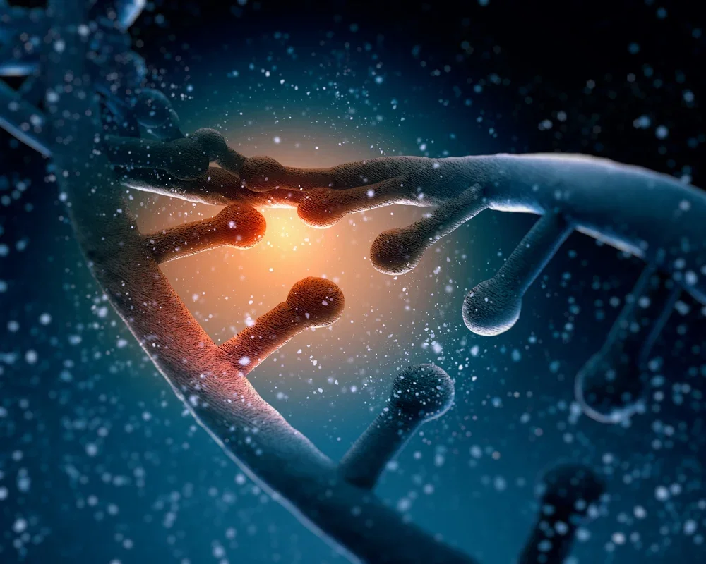 What’s the deal with the MTHFR gene and How do I Get Enough Folate?: A Functional Medicine Perspective