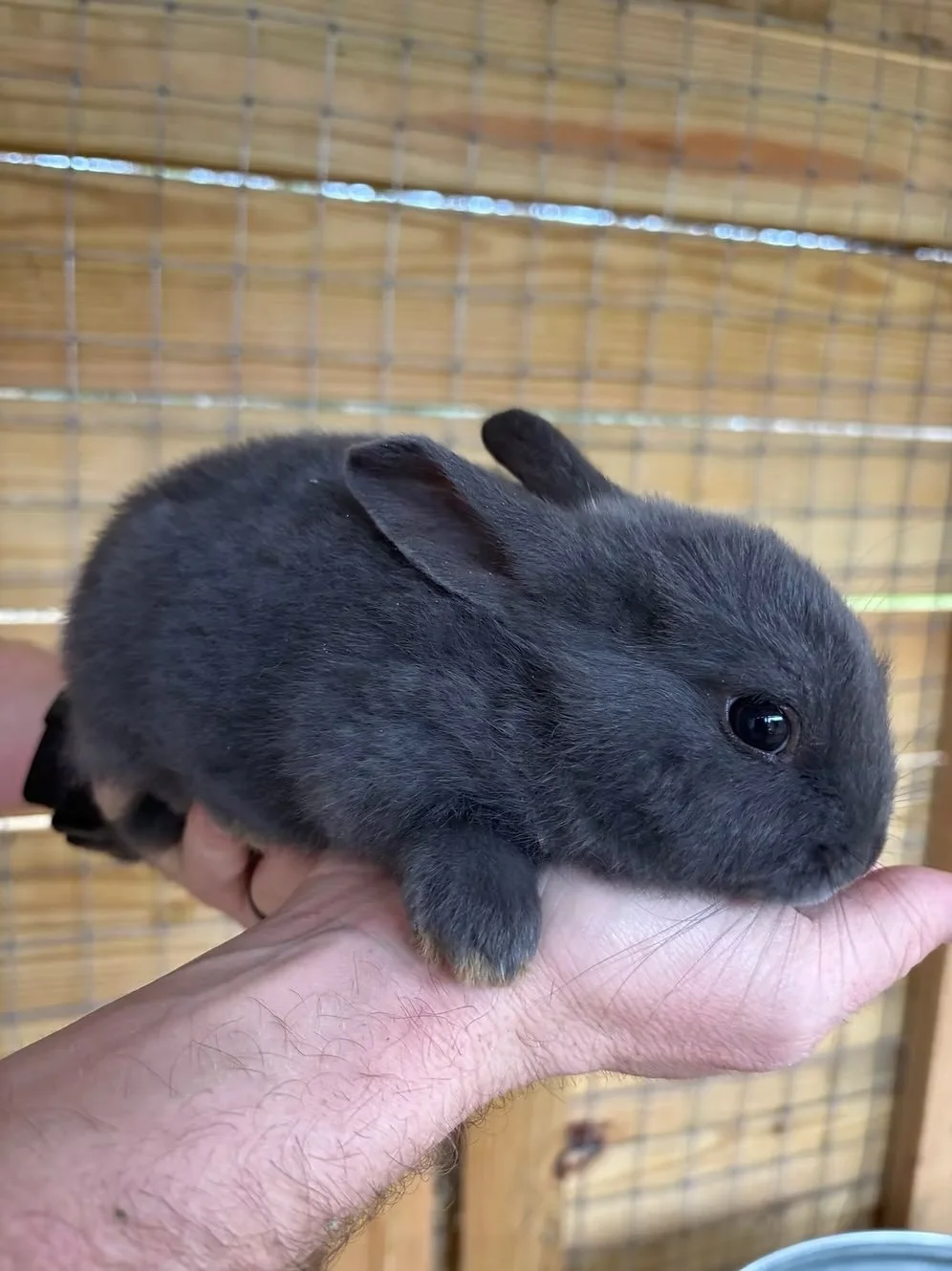 ab9855_e892c8bc272d4c5db3c5120edf65d74b~mv2 (1).jpeg