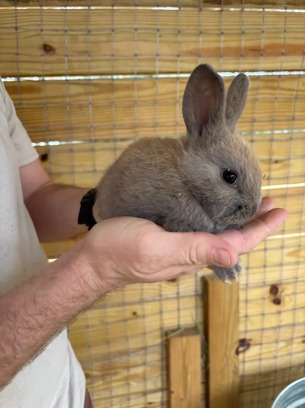 ab9855_52a3665d6c6b46308e19ebbd19c6fc64~mv2 (1).jpeg