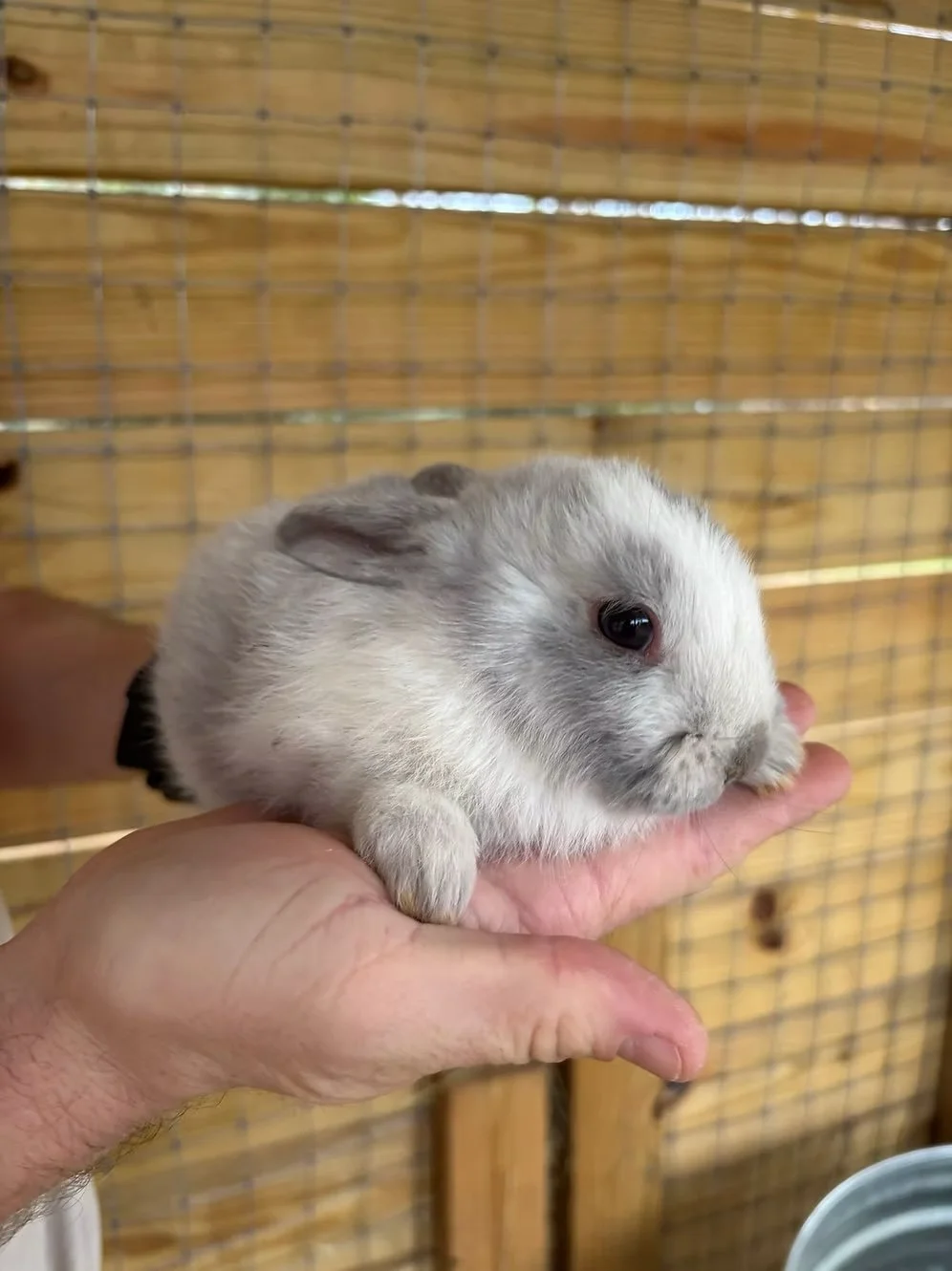 ab9855_abcfe5e18b7741559bded567cec25858~mv2 (1).jpeg