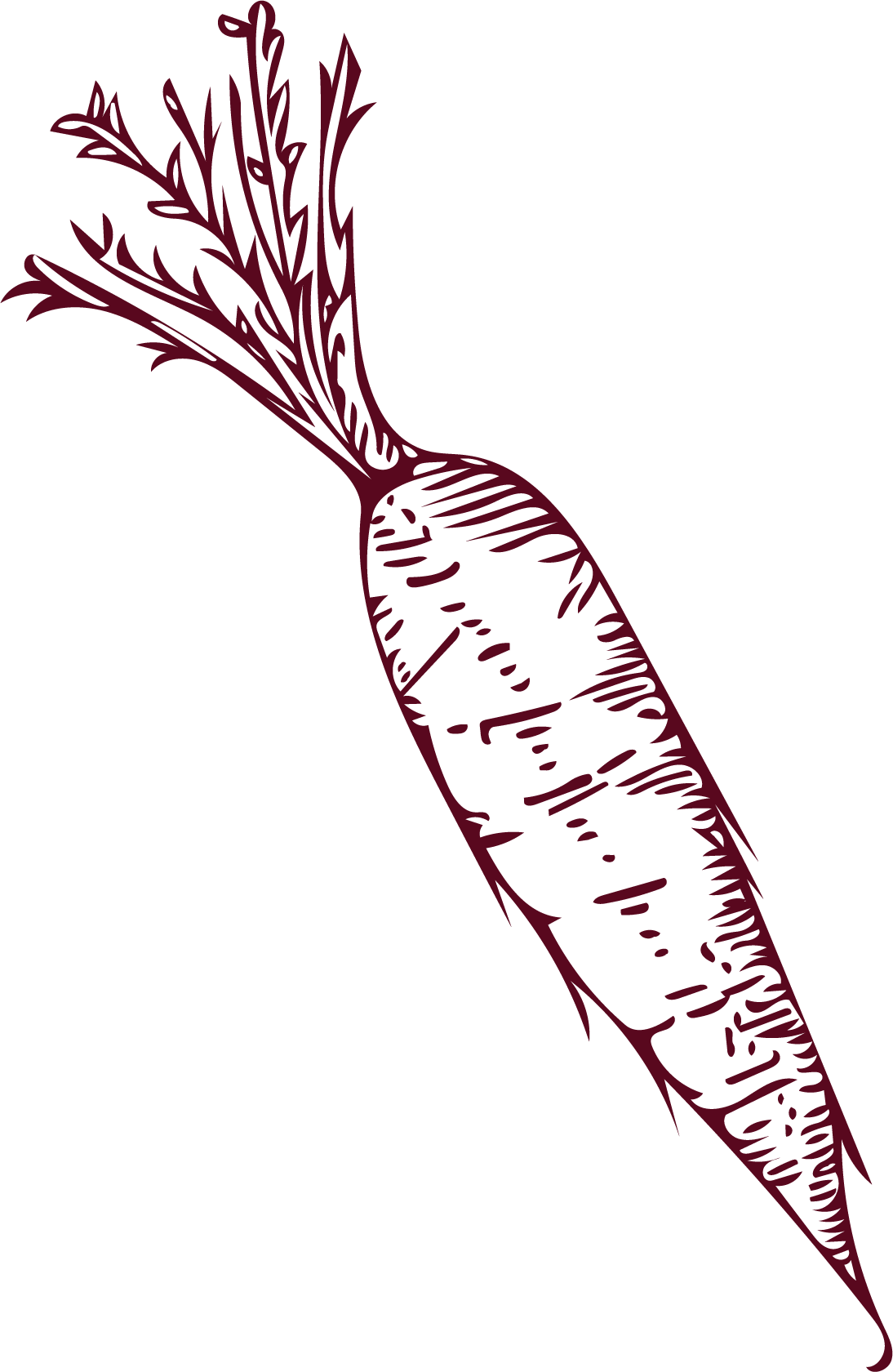 Stylized drawing of a carrot with leafy top on a black background.