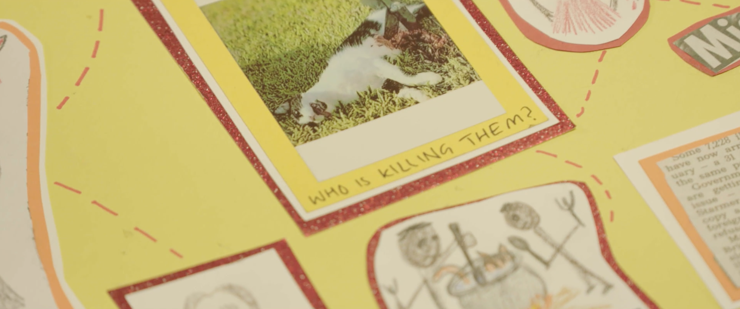 Close-up of a yellow educational poster with a photo of a puppy lying on grass, and a question below it that reads 'WHO IS KILLING THEM?' The poster has red glittery borders and is decorated with various drawings and text.