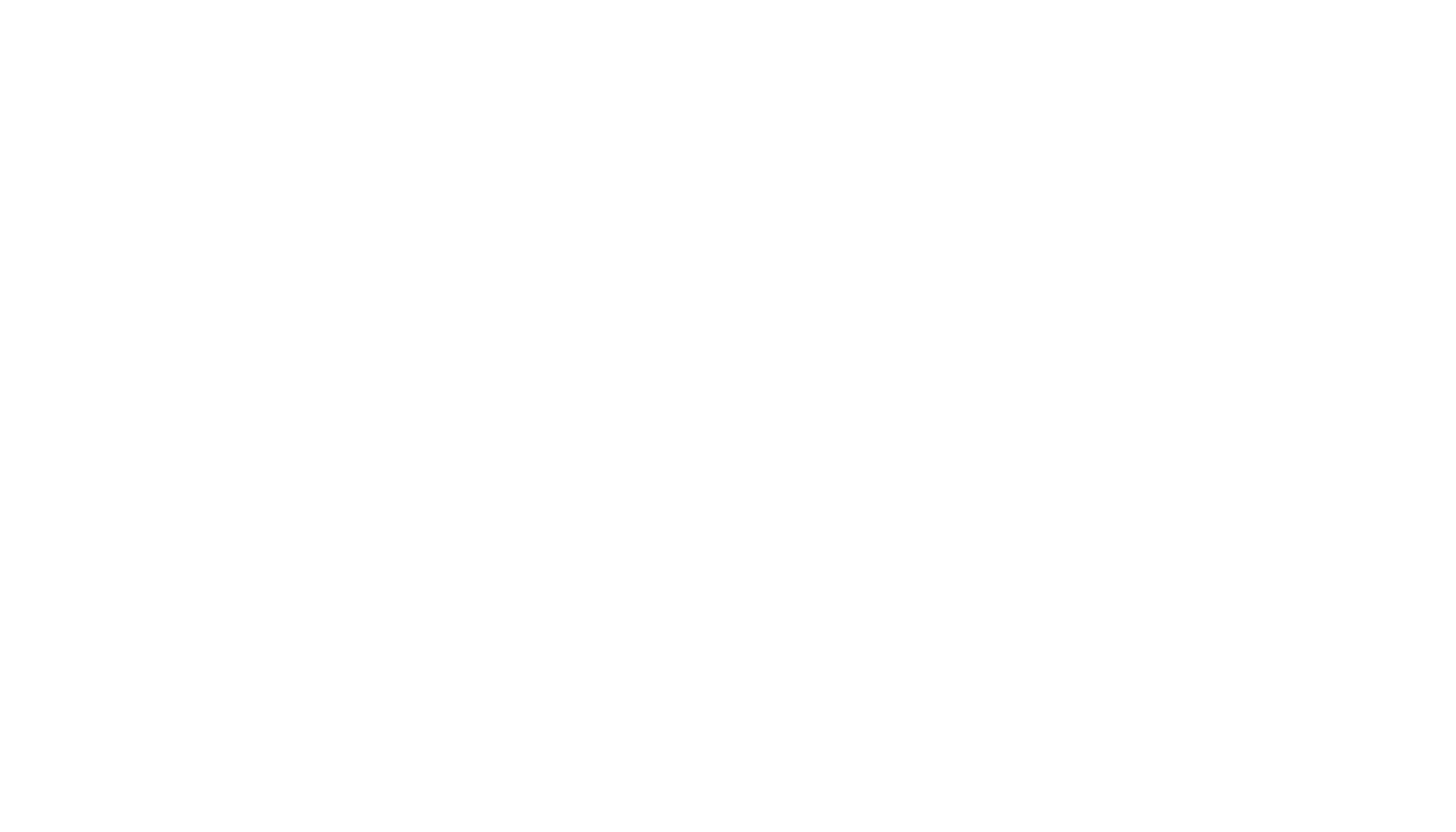 Black background with white cursive text that reads 'The Experience'.