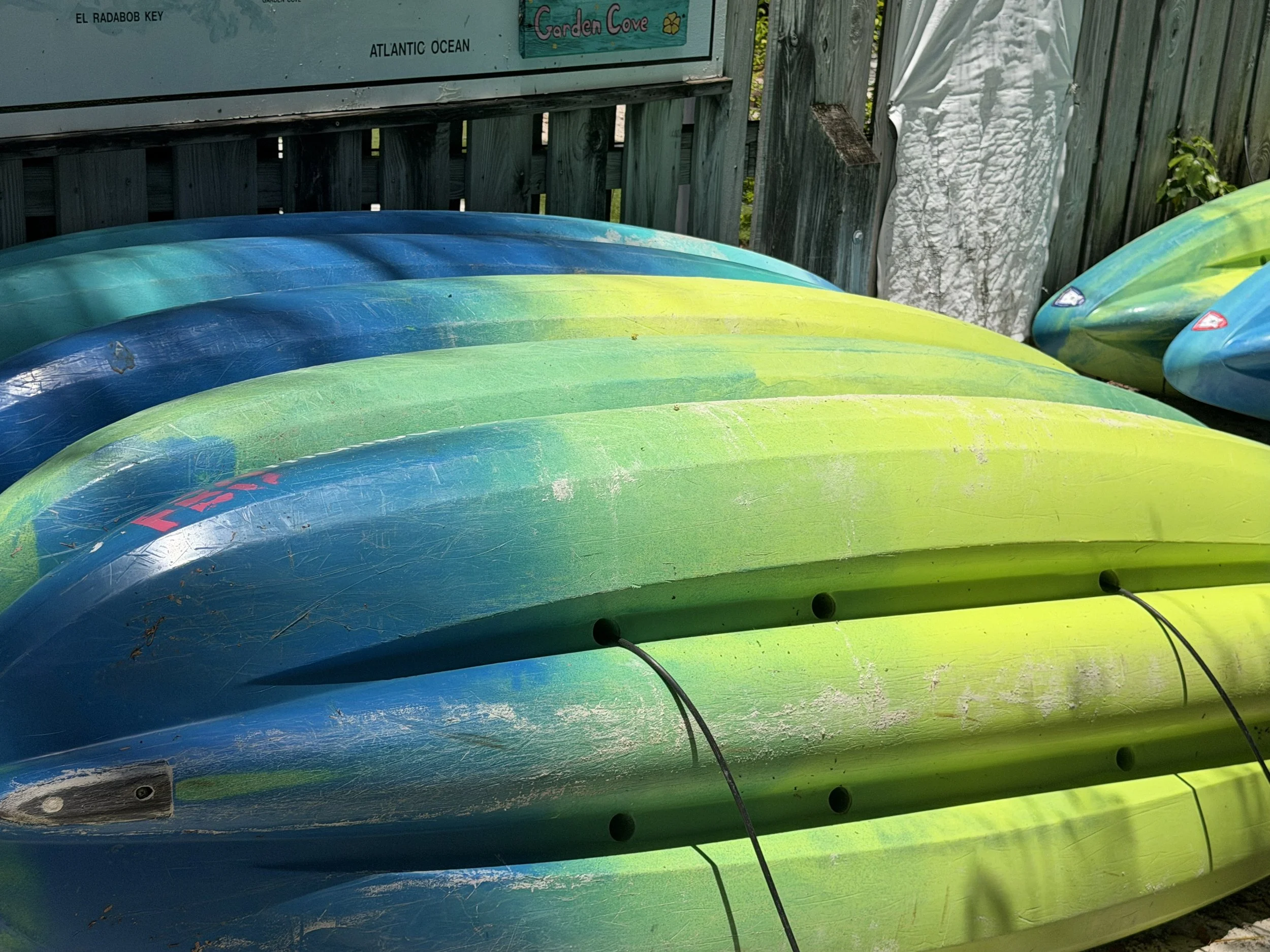 2026.06.16 surfboards.jpg
